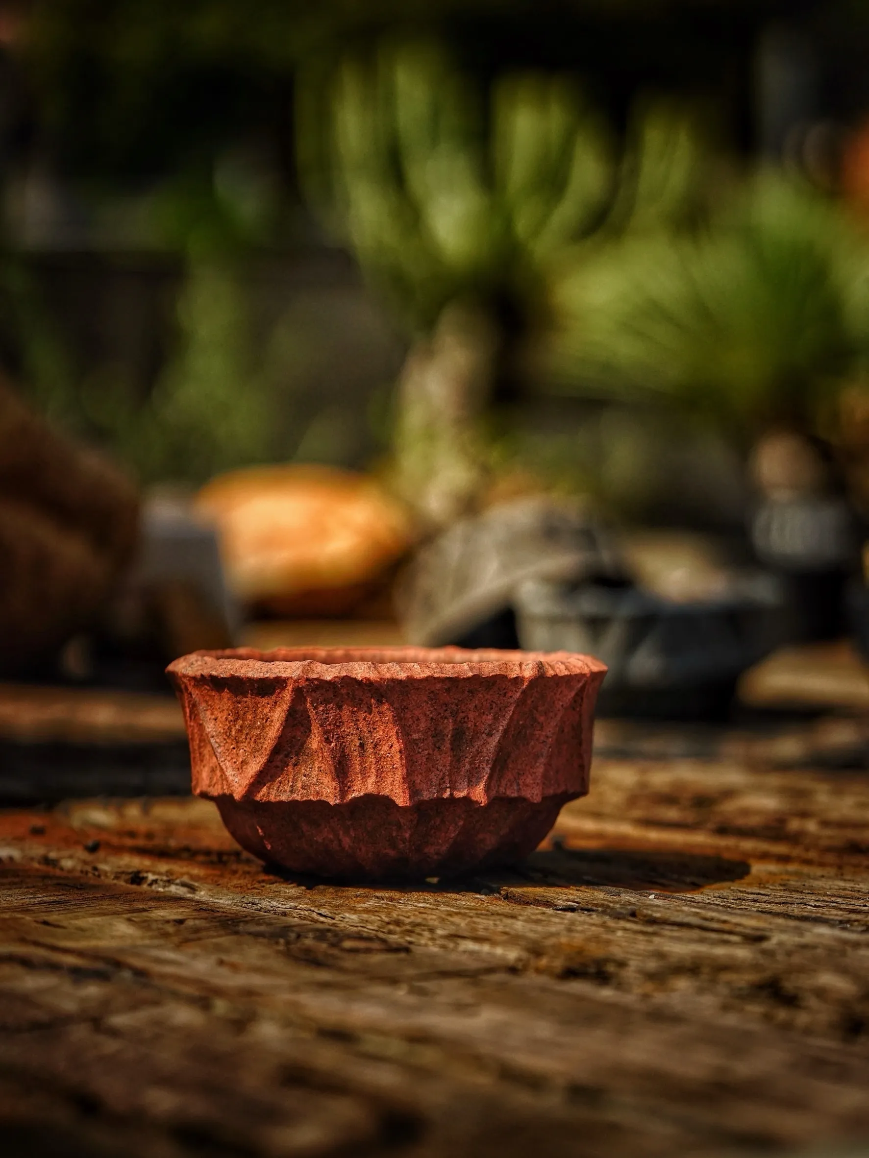 image_EEBA100E-0394-452F-A8B7-73F81910AA0A_1786087250