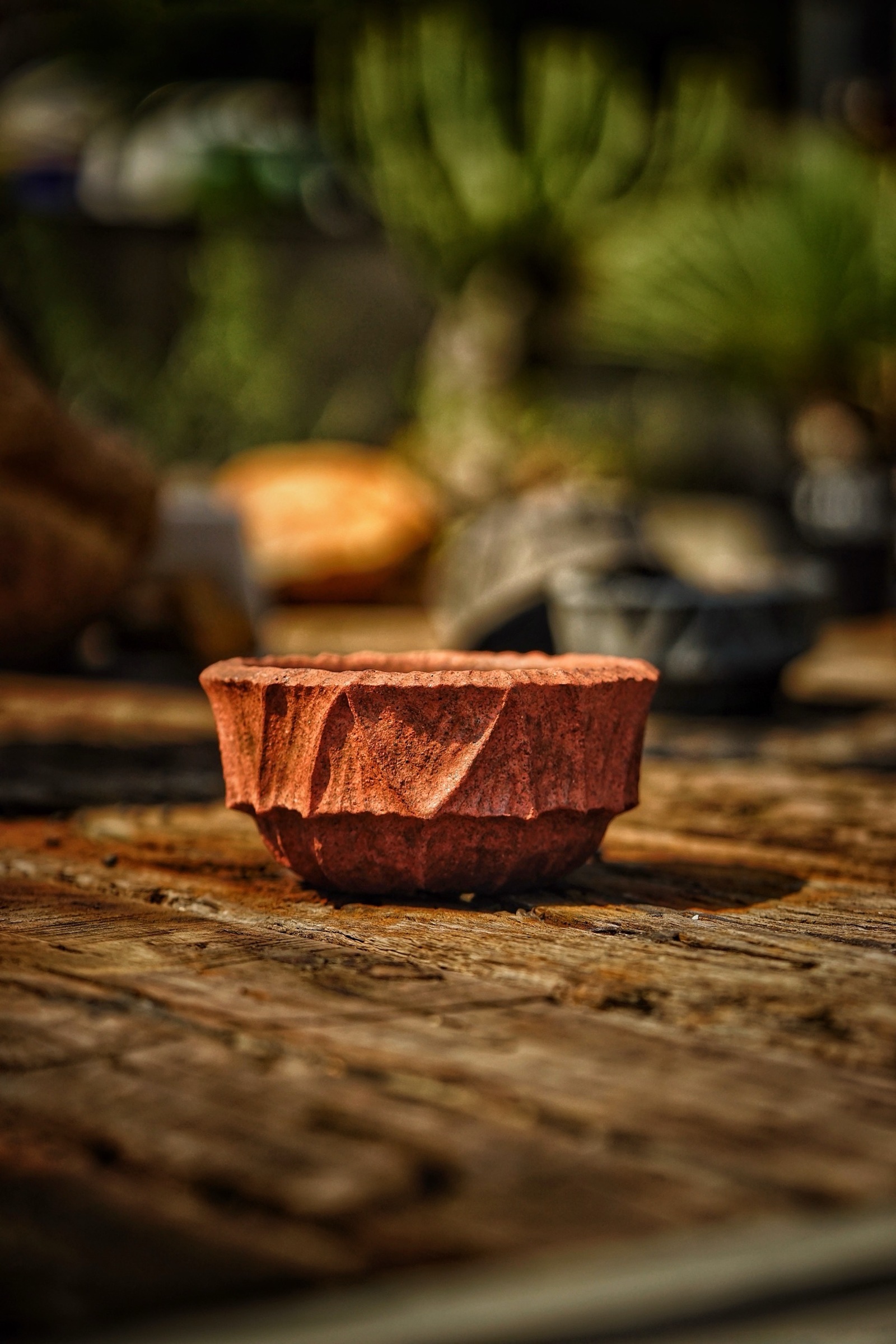 image_270663F5-4908-4278-8BD0-3179A3863F2E_1786087250