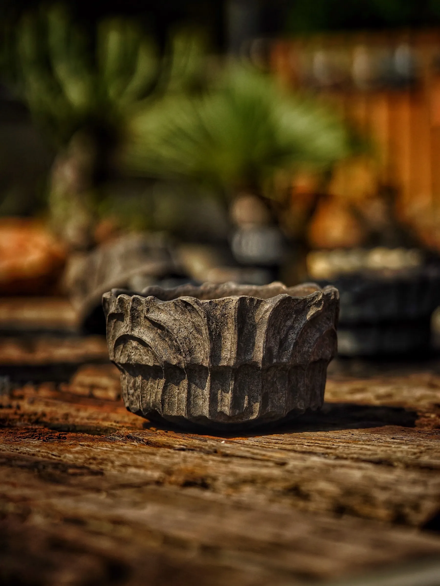 image_8D441EB8-877C-4F83-8013-EF91F68BEC26_1786087528