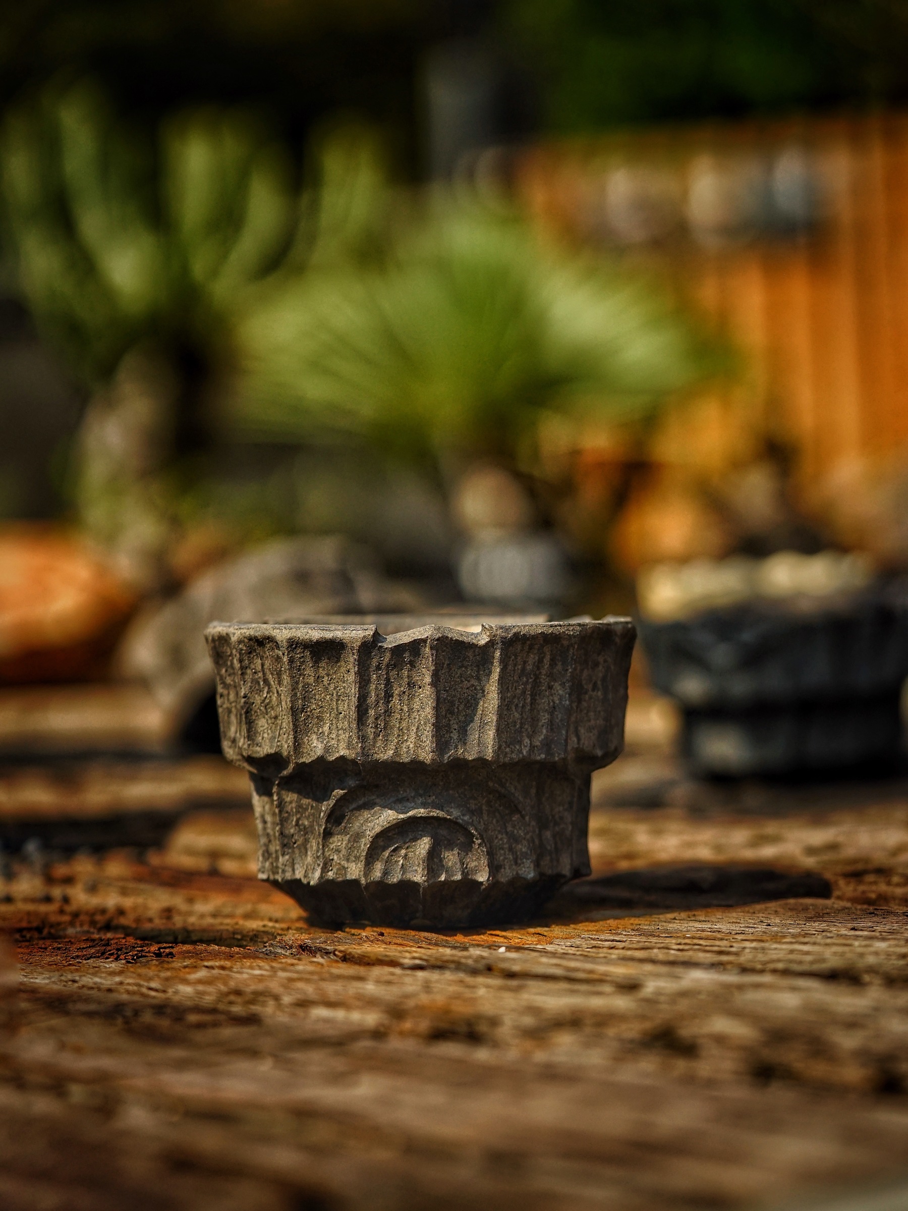 image_62F9AC09-6C52-49FC-BC65-D12C29AFCEE8_1786089045