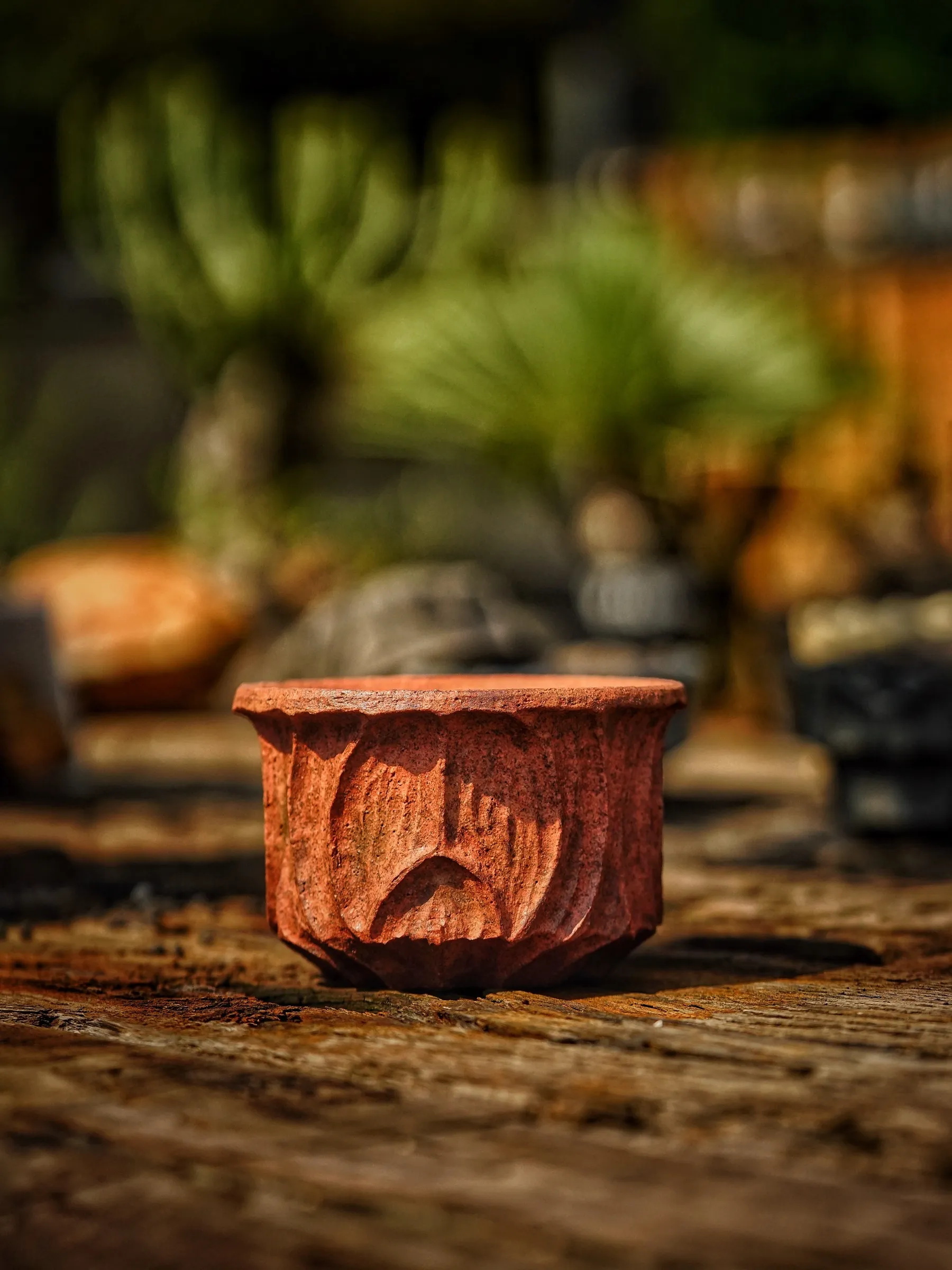 image_AF81E252-4413-4705-B7EE-45E185161A0B_1786089285