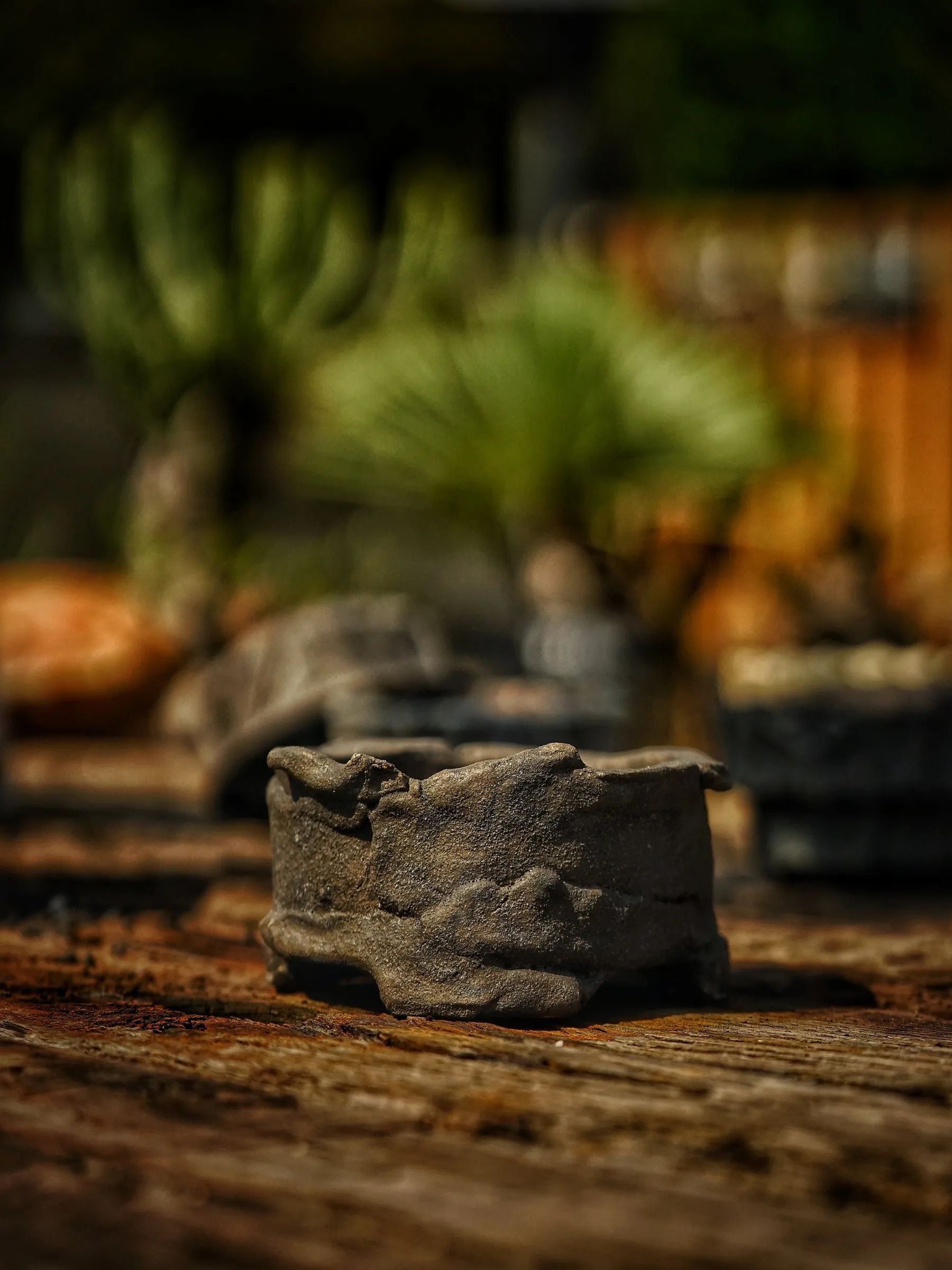 image_C56CD86B-BB81-48A4-8CEB-F27A593B1990_1786089612