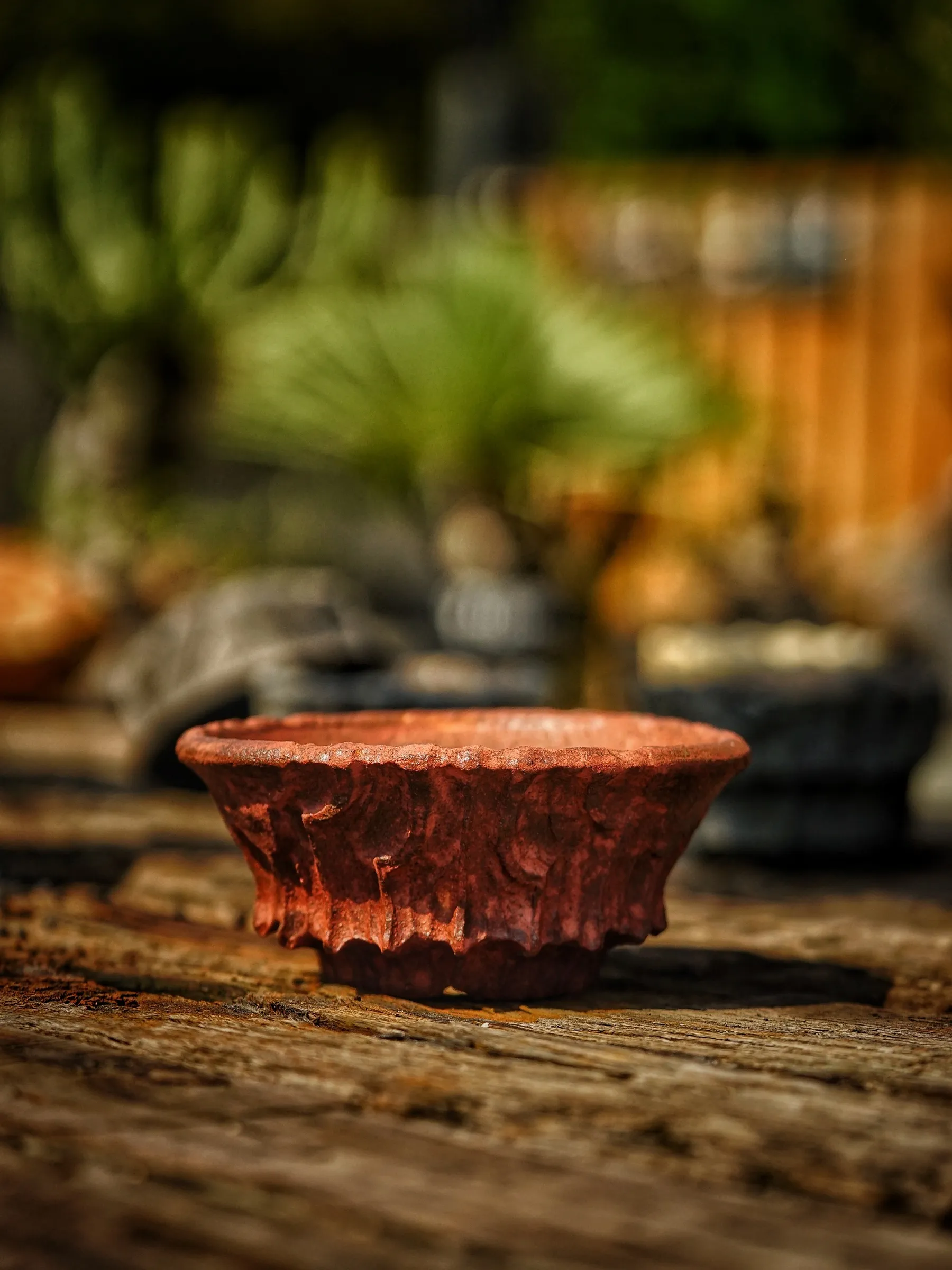 image_CC1A67C0-7093-4C8D-BE9B-C7C81F08167A_1786089697
