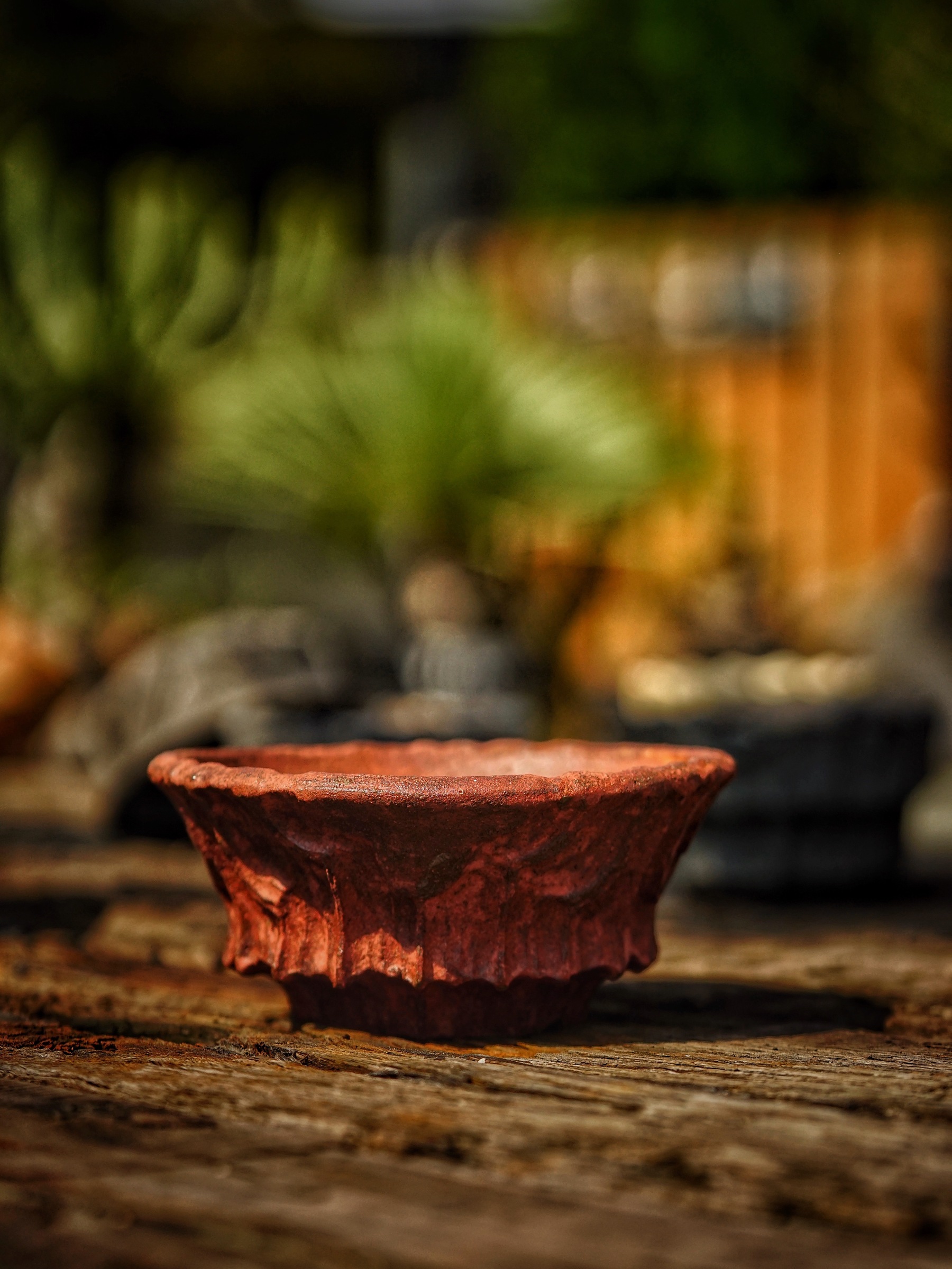 image_54B16CD0-2A25-4460-94D6-49494A905938_1786089697