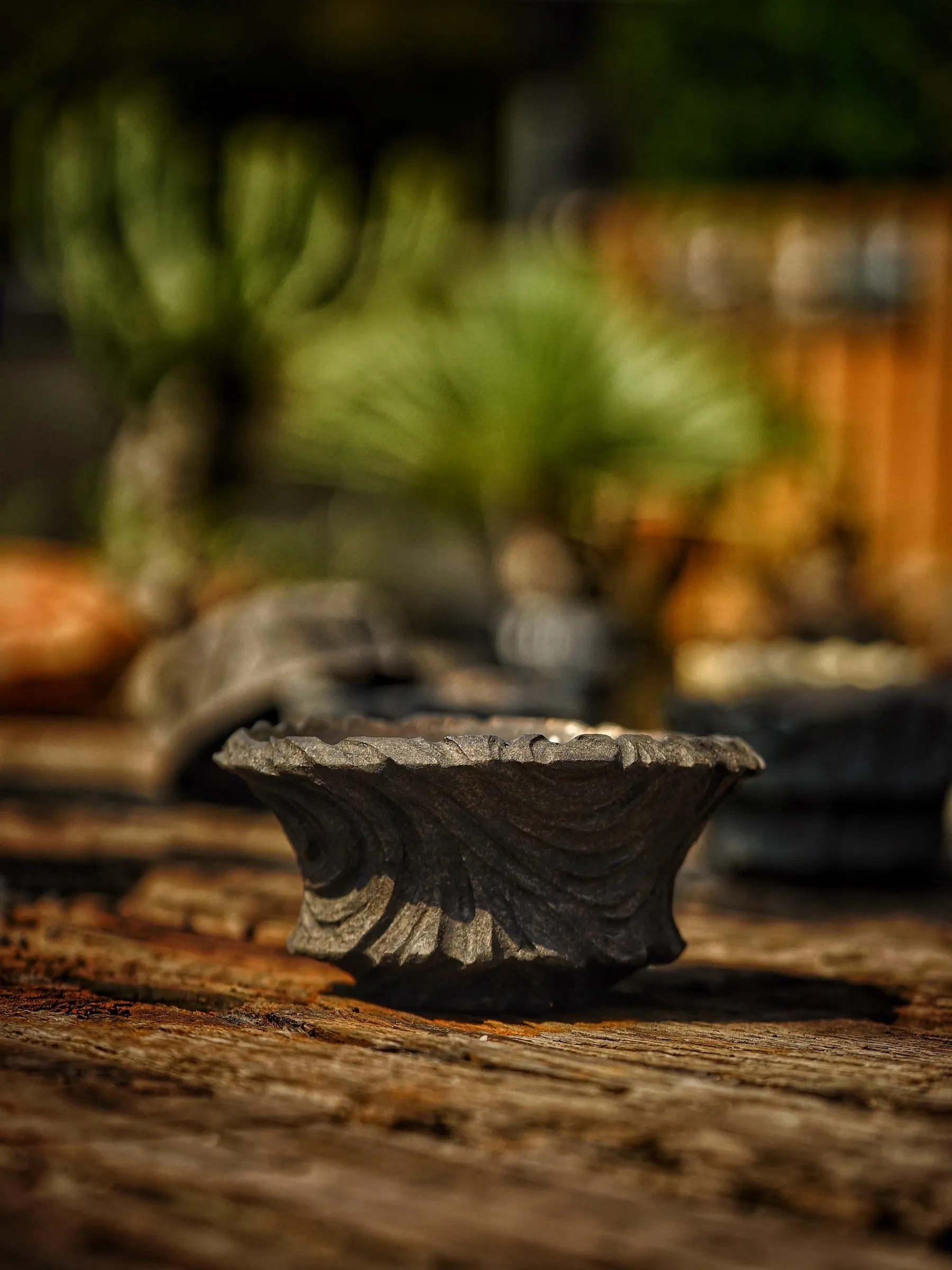image_F08D88F7-CF81-42E4-BEDB-5EF0474FD55E_1786089843