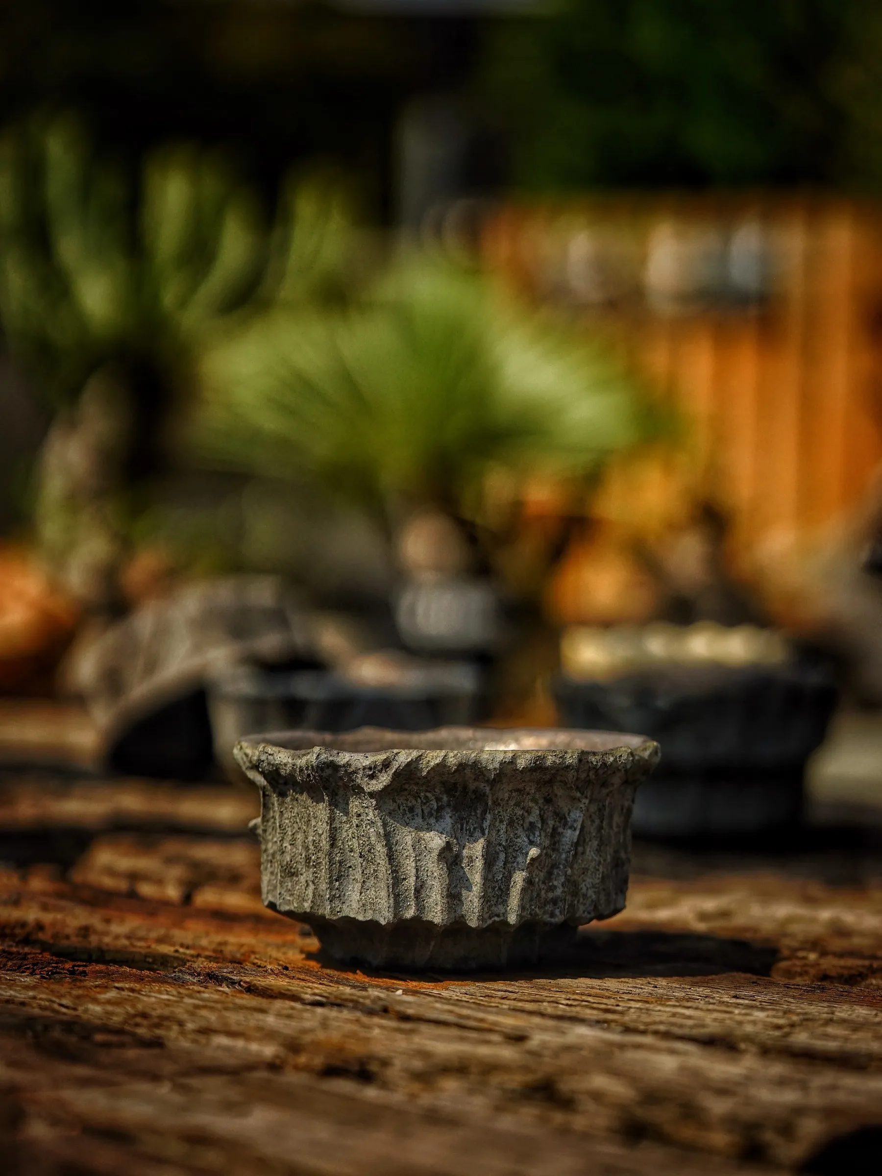 image_531C3F9E-E15D-4460-9212-F00C5AC30778_1786089925