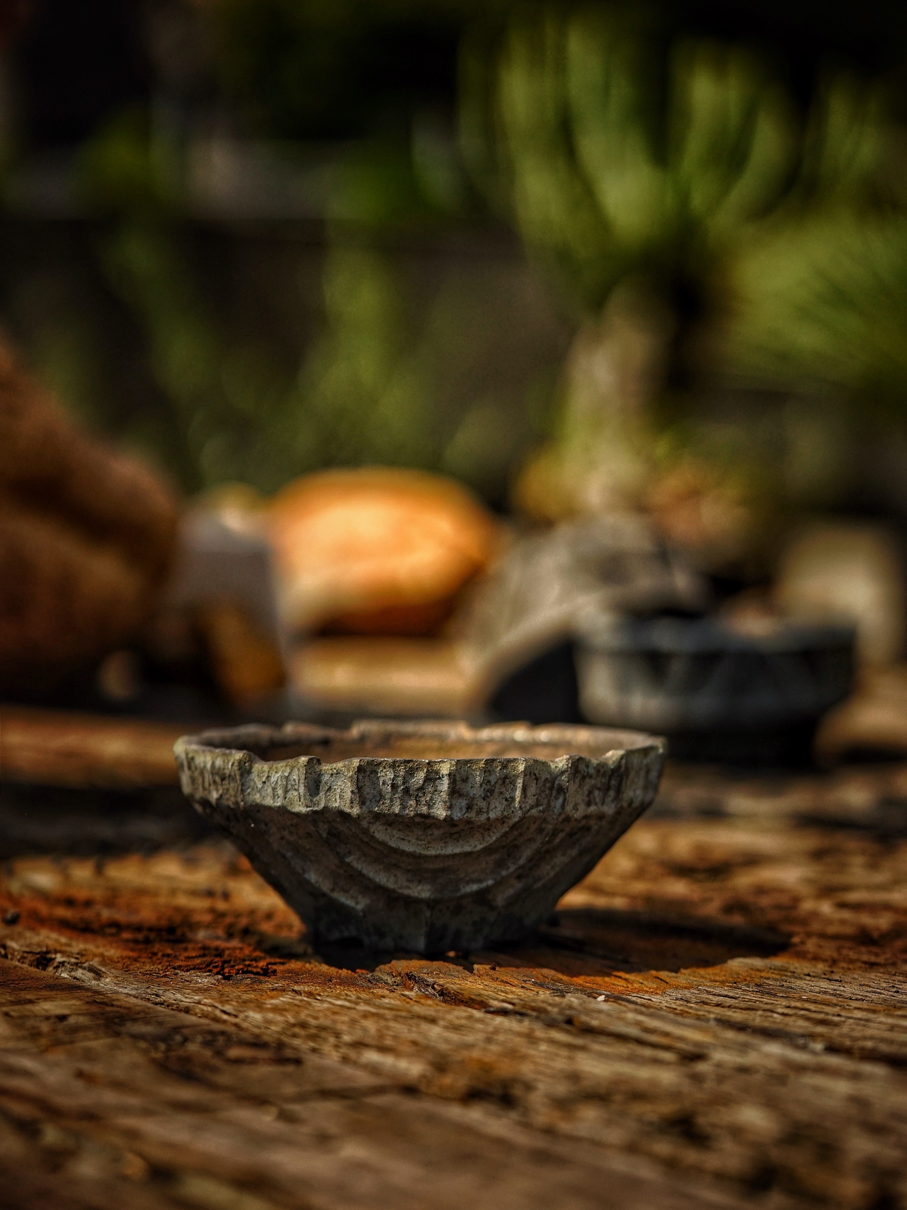 image_5B0D2D18-6692-4175-91A5-97DC73C97882_1786090306