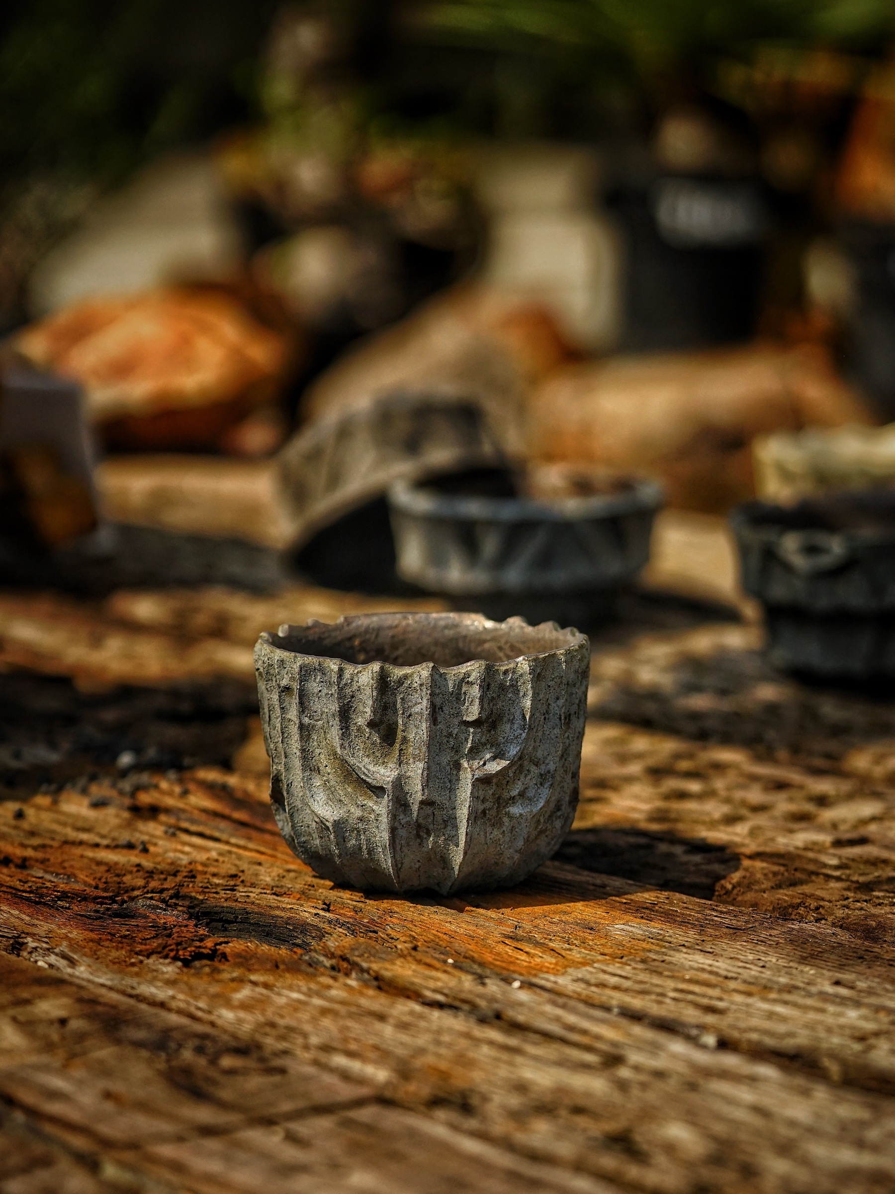 image_D642D76B-09AF-4D75-9929-4A2B70FC73D0_1786090396