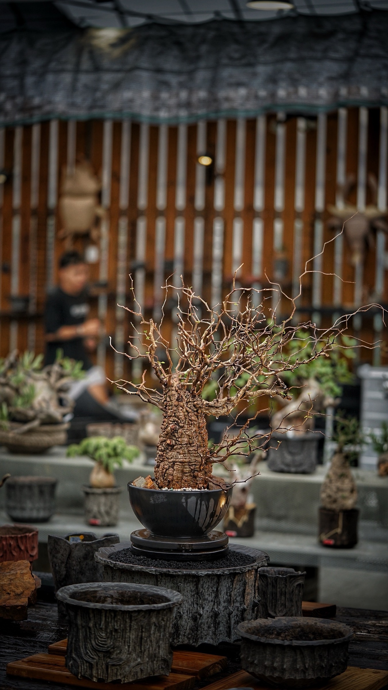 image_FC67A84A-F956-492C-8087-2B2BEEB5A810_1787388127