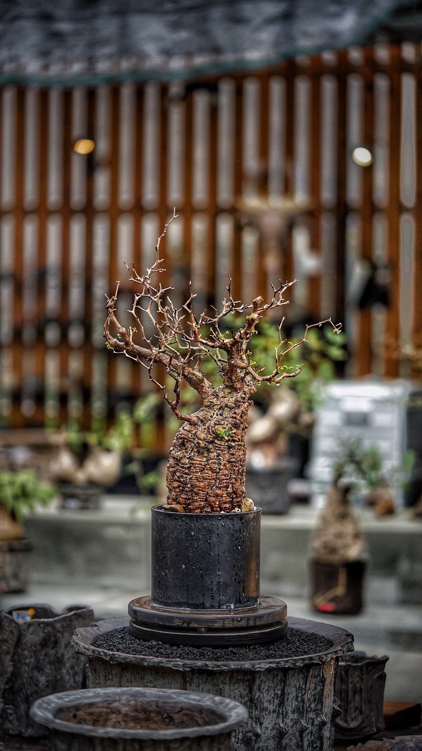 image_0E39C14D-BA9D-4CF5-AEE0-AD75638D74D1_1787388324