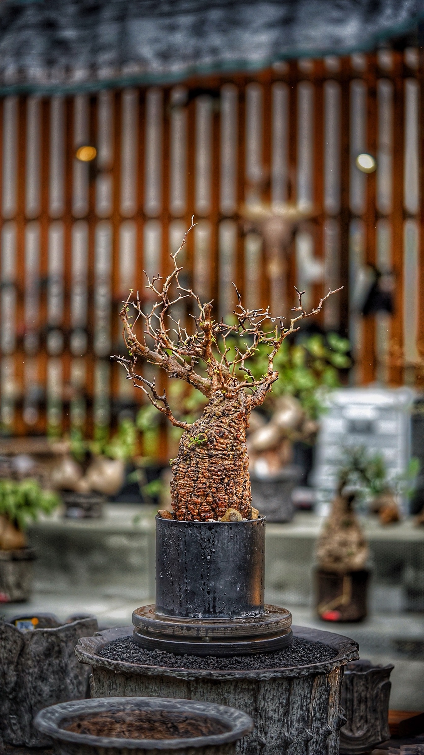 image_10EE97F4-B992-4CD0-9C29-D4B4592E7451_1787388324
