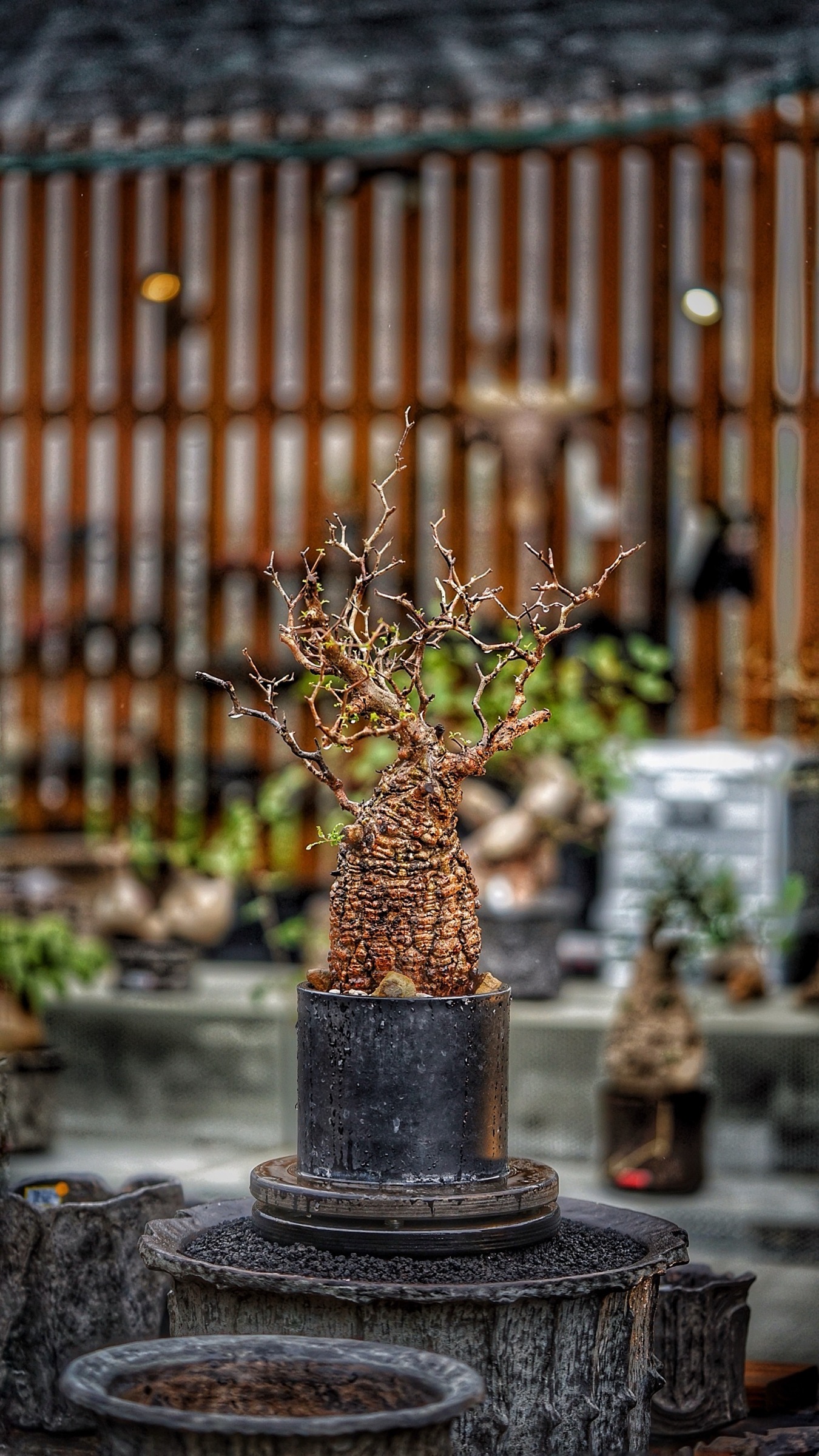 image_7E9FAC19-CFA2-4315-975C-3A33115DB27B_1787388324