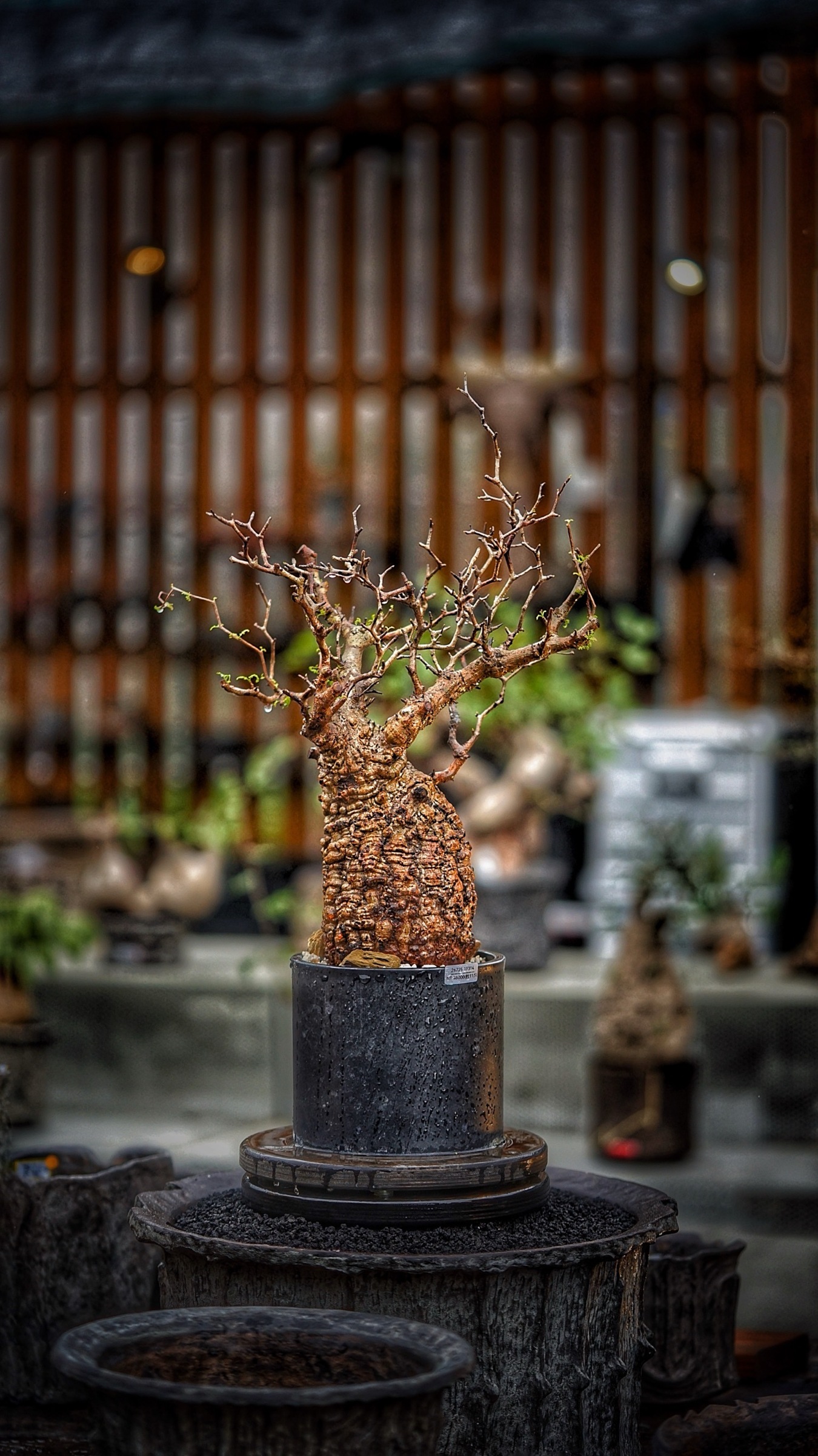 image_ED80658C-AA16-48FC-BCE4-7E68CCDCB767_1787388324