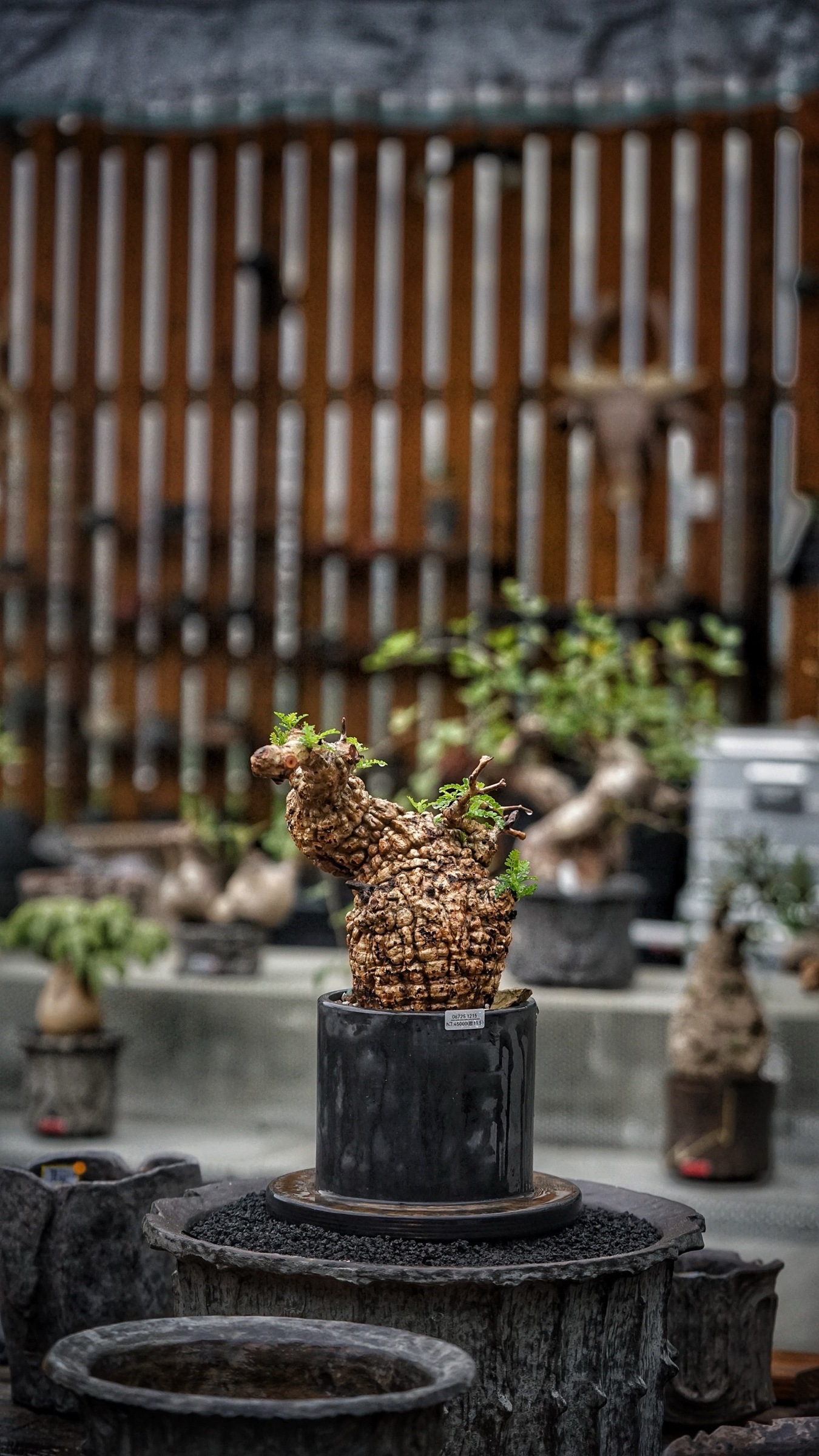 image_641A5D31-1E70-4C9F-A0A0-68C10B5E0620_1787388573