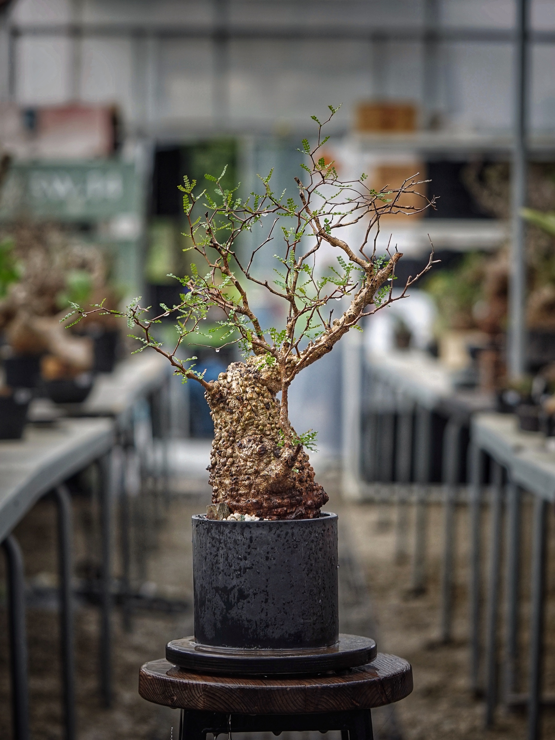image_E32F73FA-E515-4600-9841-126B6CBD90EE_1789275127