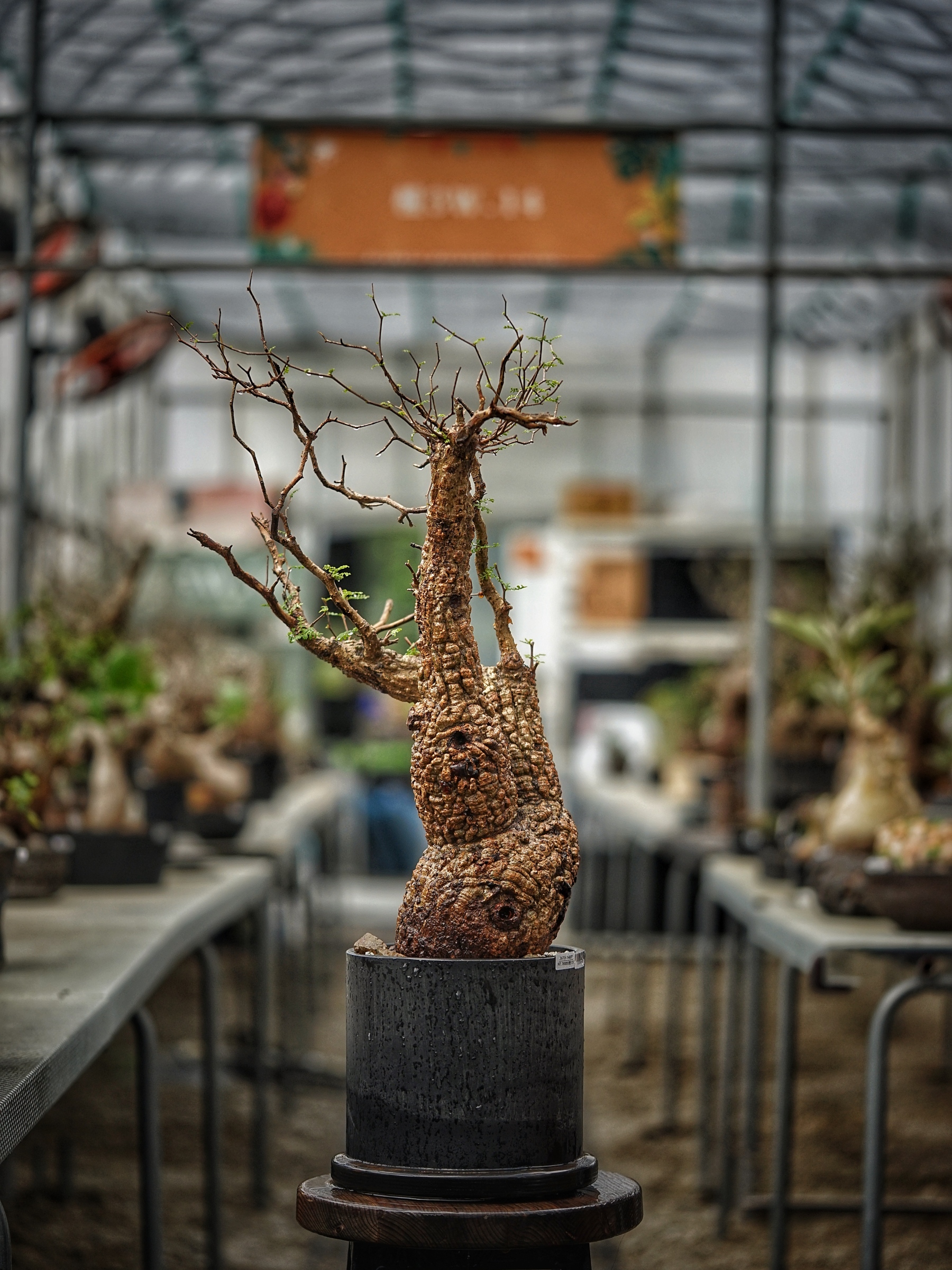 image_17701DF2-CE6F-4264-B7C8-E87DB6A8B20D_1789277941