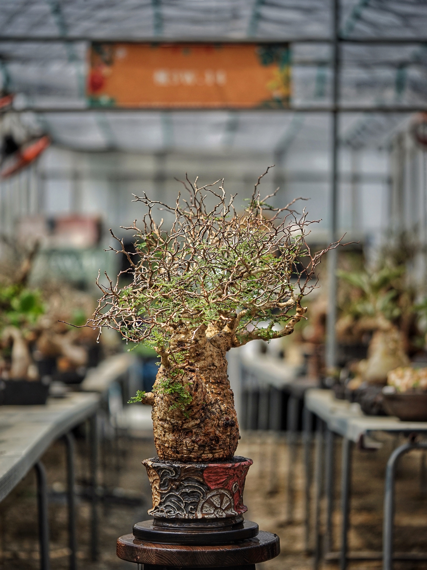 image_6E2004D6-F011-4F3B-9DA9-2B30478DD15F_1789279329