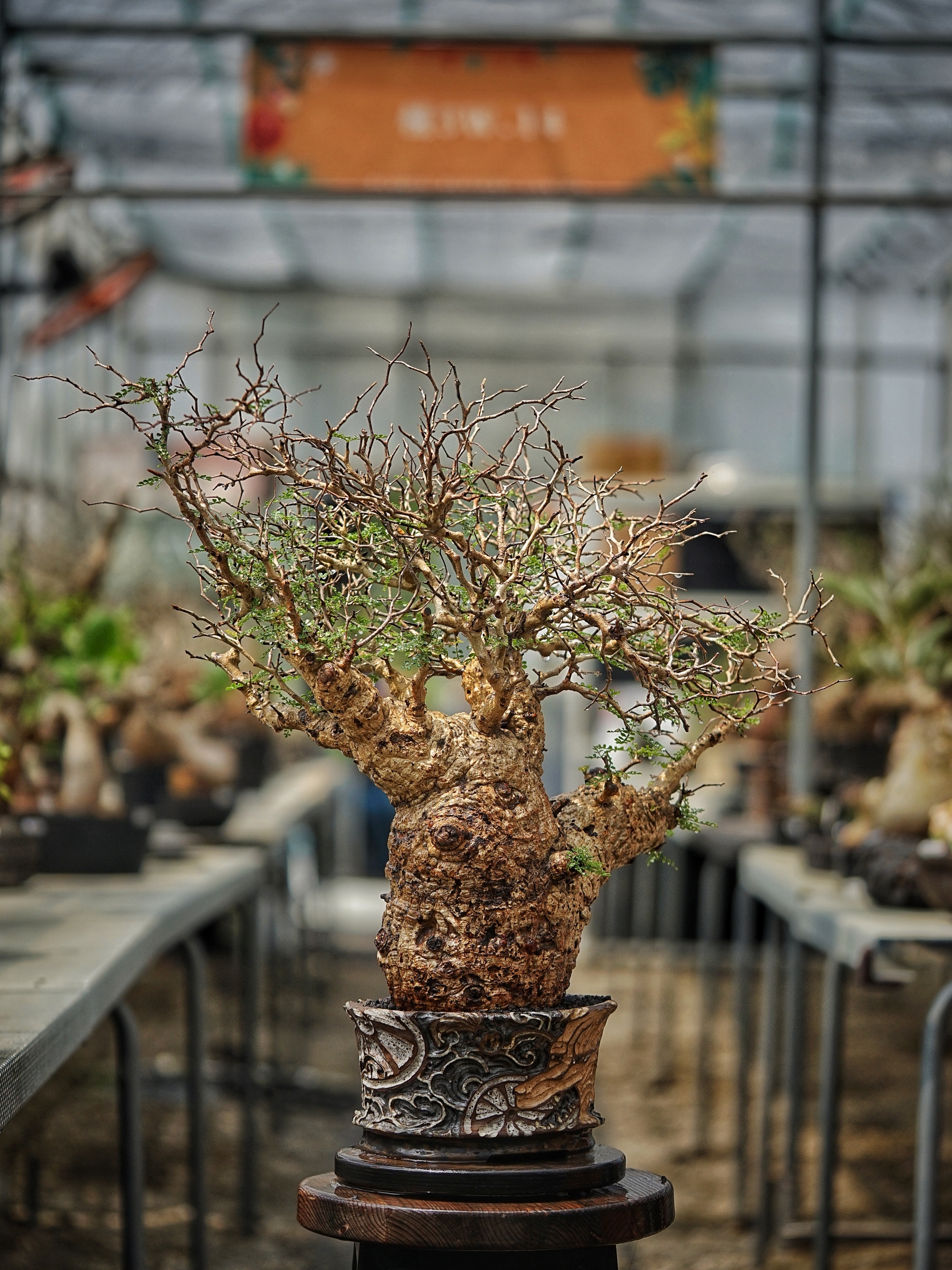image_BC3BDBCC-3C53-418B-92D1-9E3F856E4388_1789279329