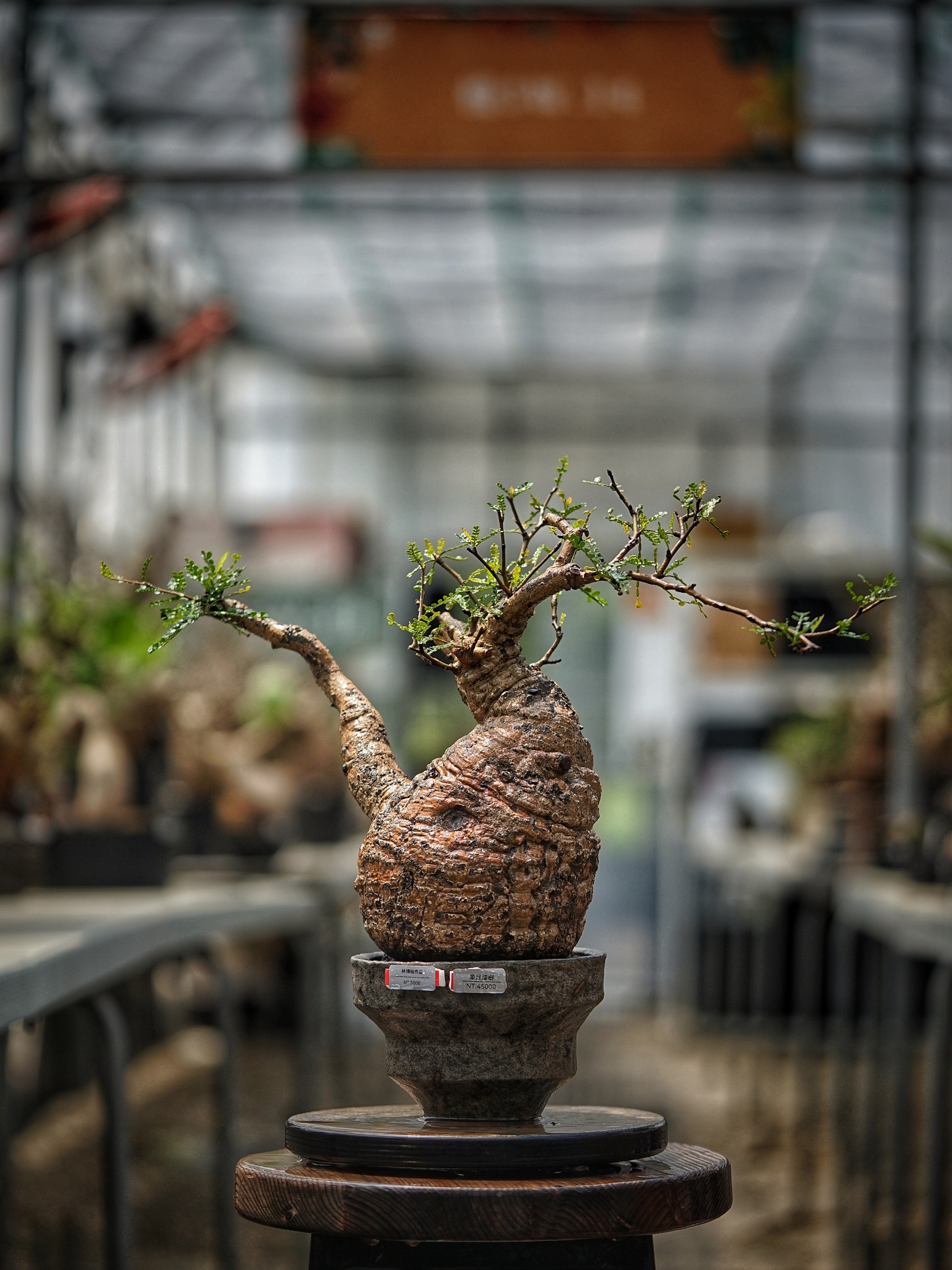 image_1CDB8764-F1EC-4391-A542-4363D5FAAEE2_1789280721