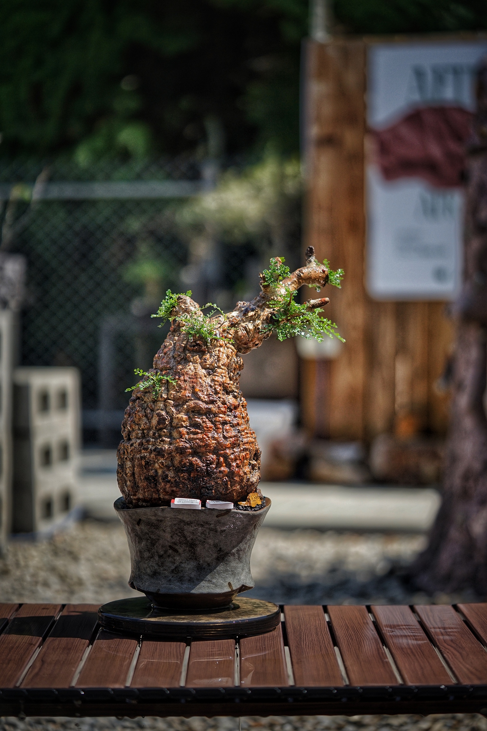image_2149B383-92CC-4D37-B5BB-C538C213450B_1791092895