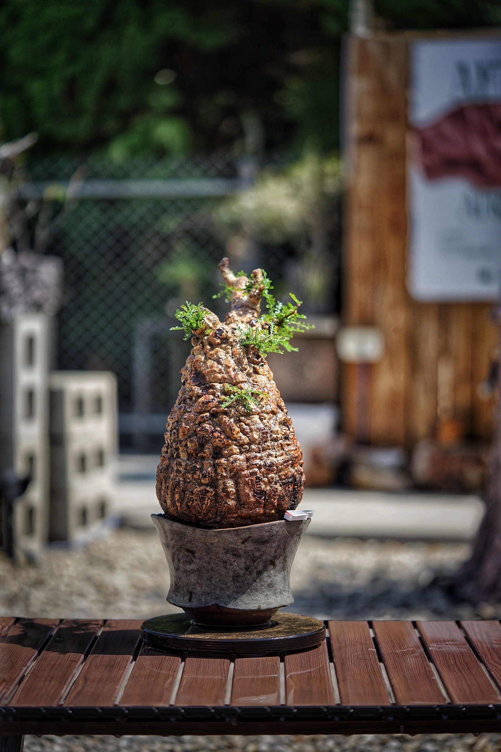 image_D48168D9-576B-4726-A626-BA768FE5AF93_1791092895