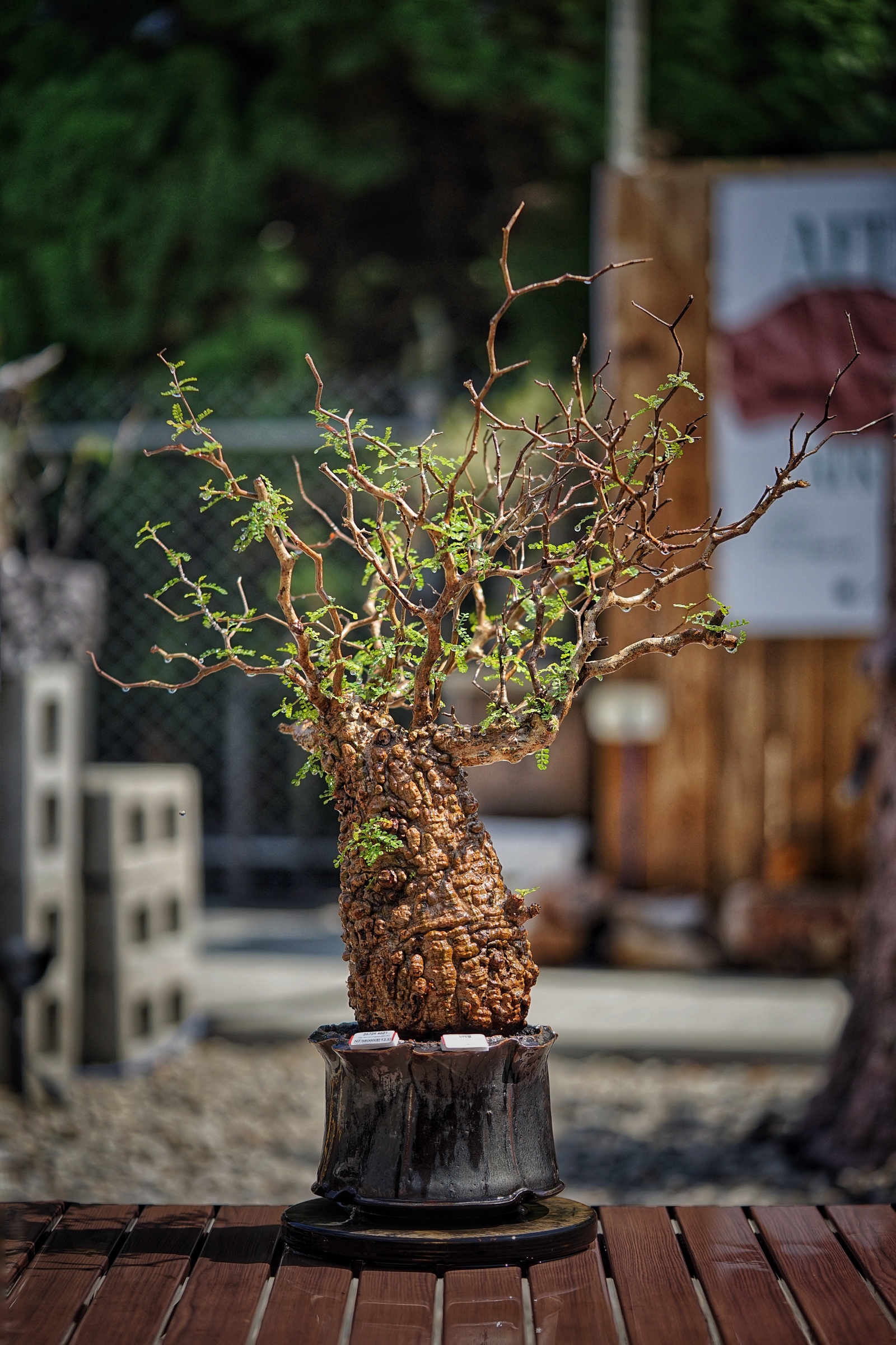 image_591DCE7D-558F-4A85-9BC2-E014D5BF79B9_1791093320