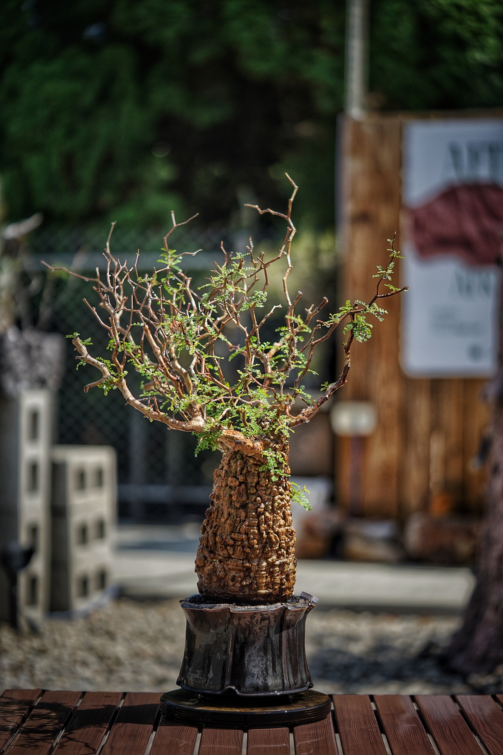 image_DCB5EEF2-D716-4FE3-96A5-508F3292E69A_1791093320