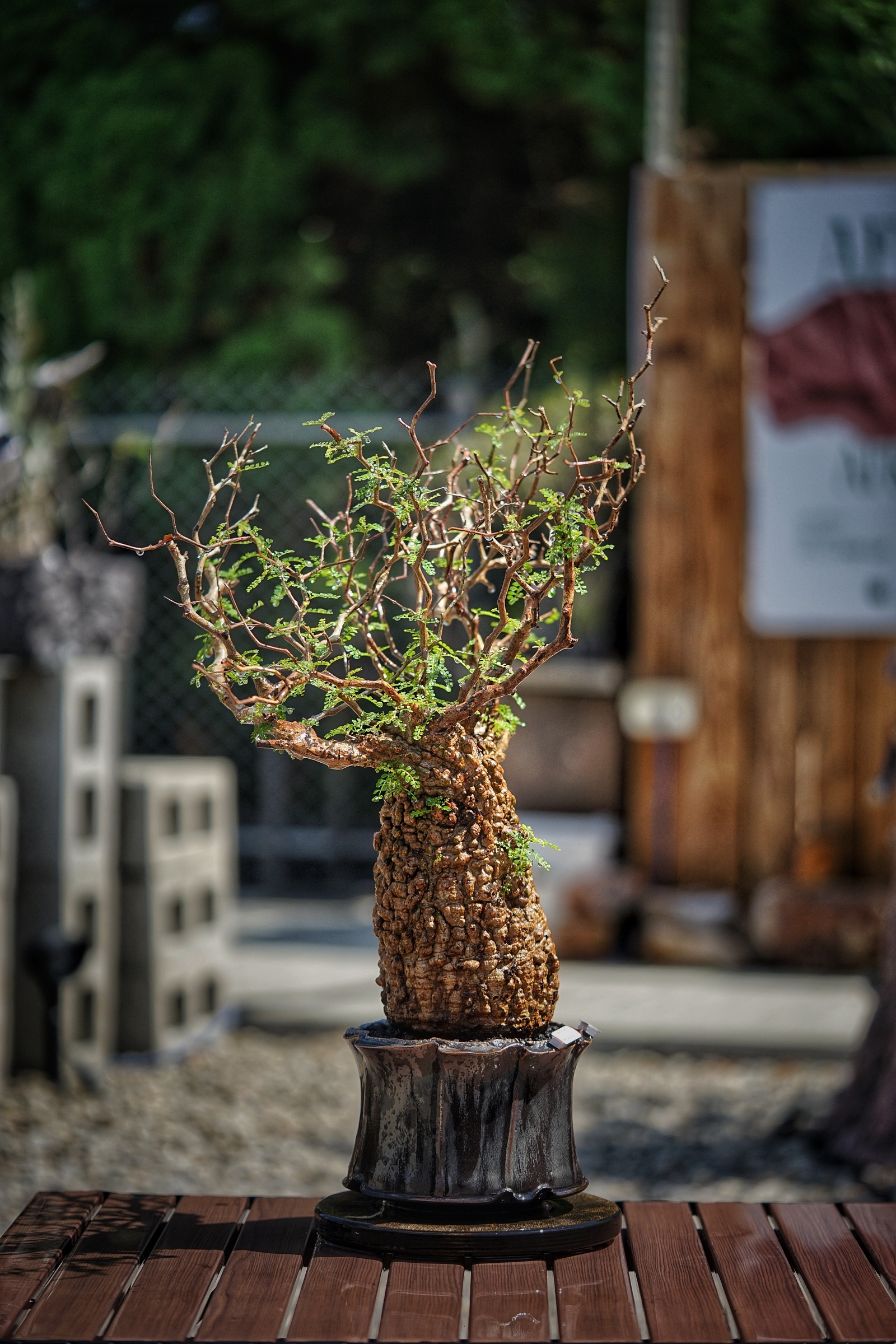 image_384E2C0A-FA93-46B1-86FC-C010D0B7A4F4_1791093320