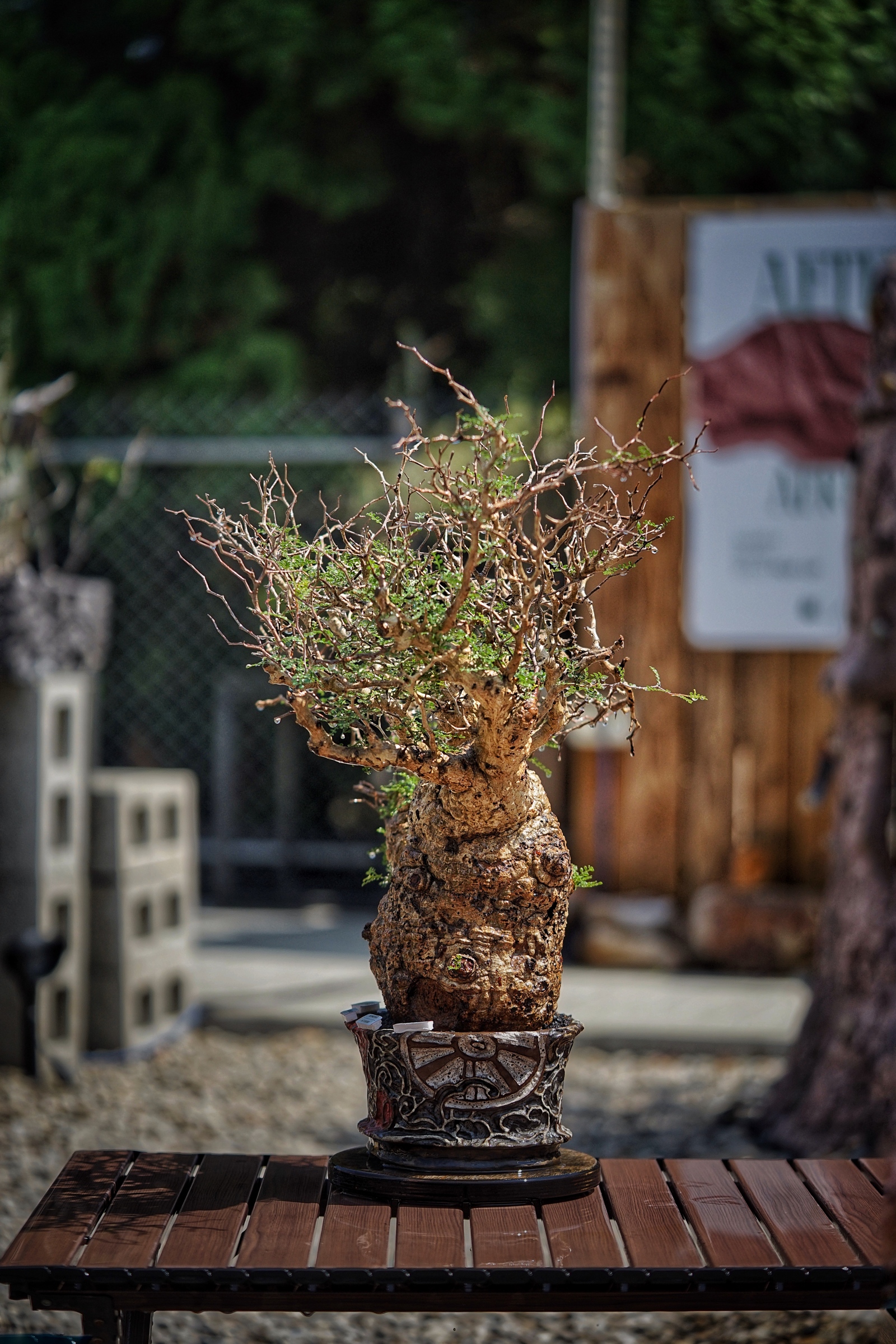 image_70A70E3F-E6D2-4D4F-9692-1D7AE3CD8197_1791093512