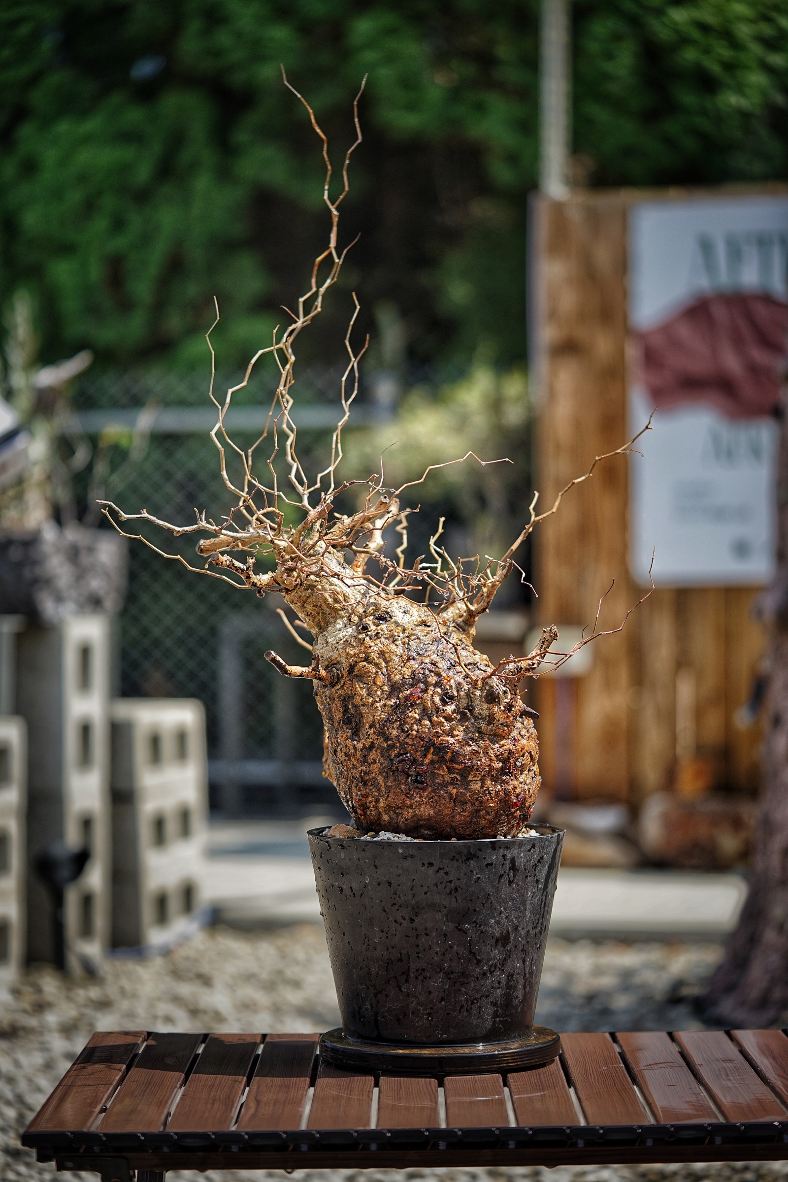 image_E1BB8834-9DA3-4DD8-A510-81A150AABDD0_1791093663