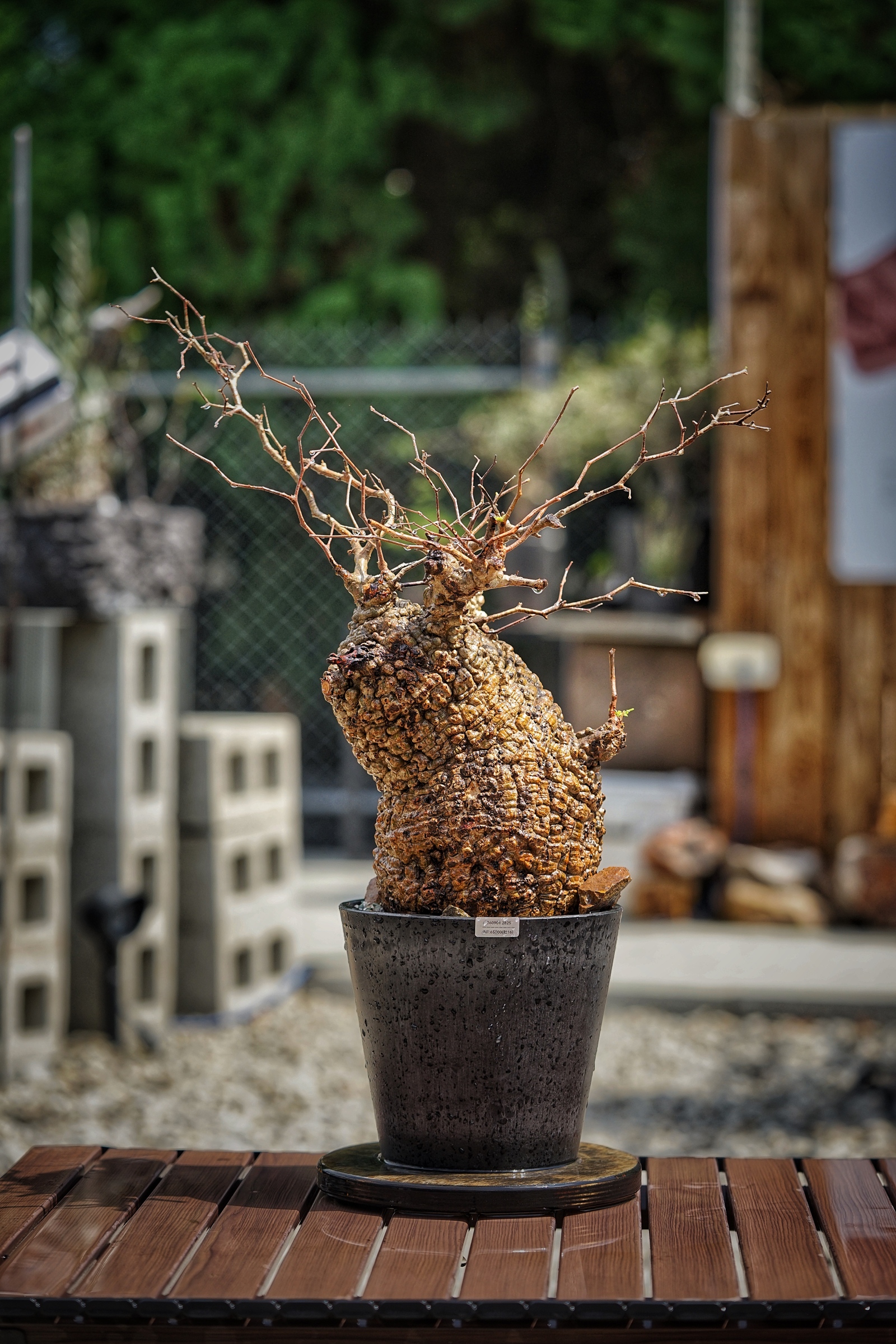image_A3D5D145-3FFD-4A14-8DB9-0E8DE7980C14_1791095489