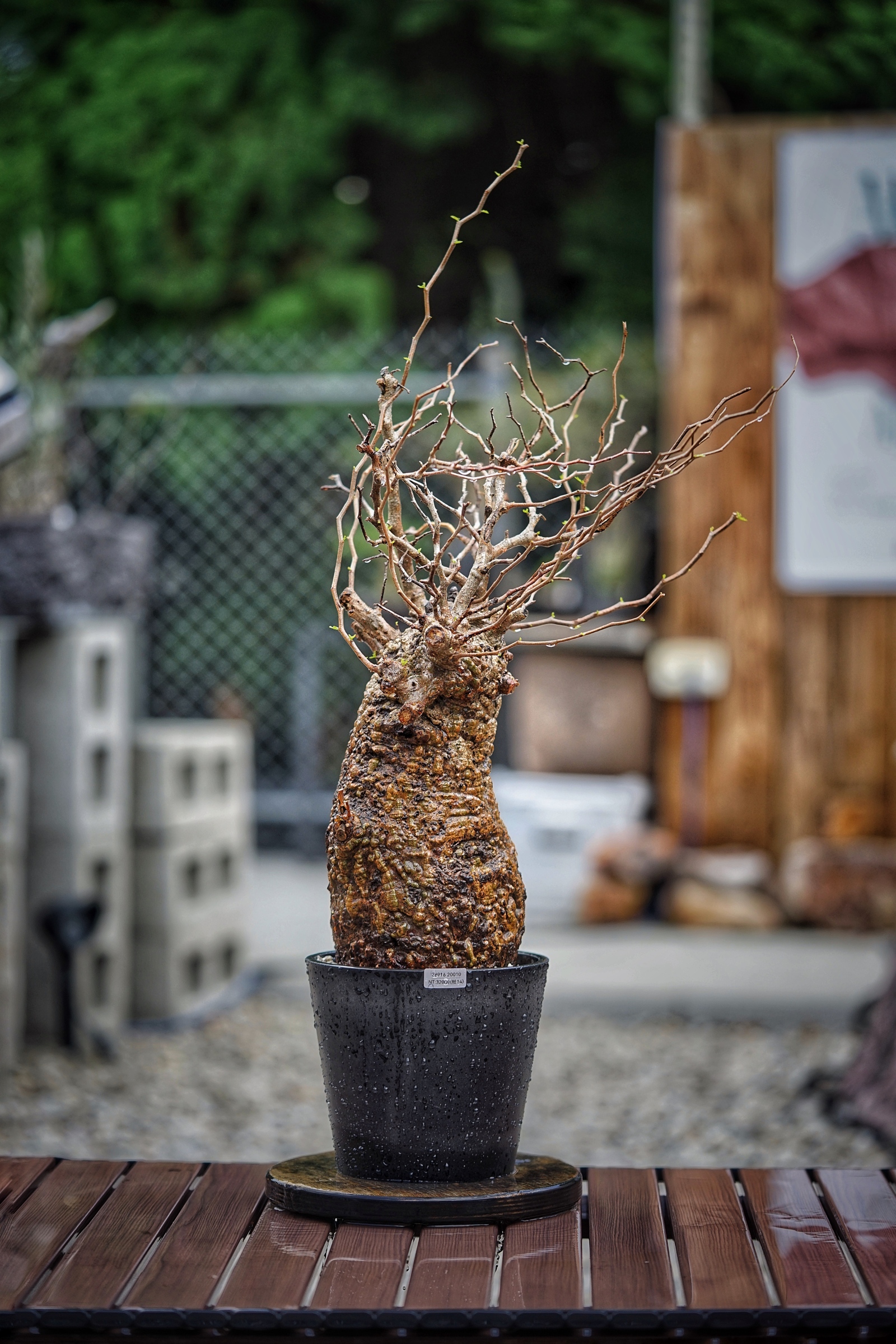 image_3F6A4071-72D2-4680-BB0A-2E55F89D61B1_1791095744