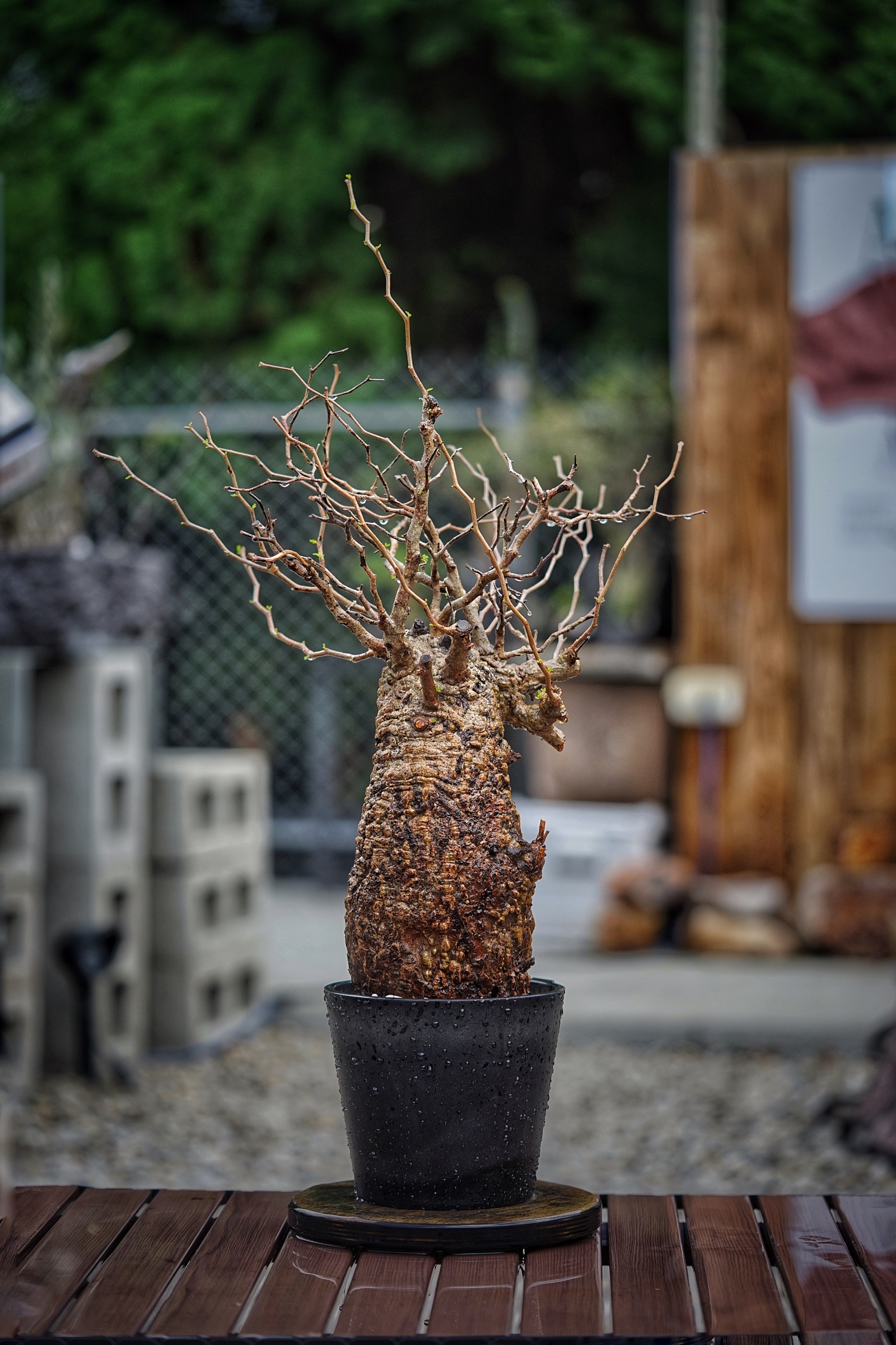 image_1AC7E757-AC59-486A-8BF6-AE0AD3567674_1791095744
