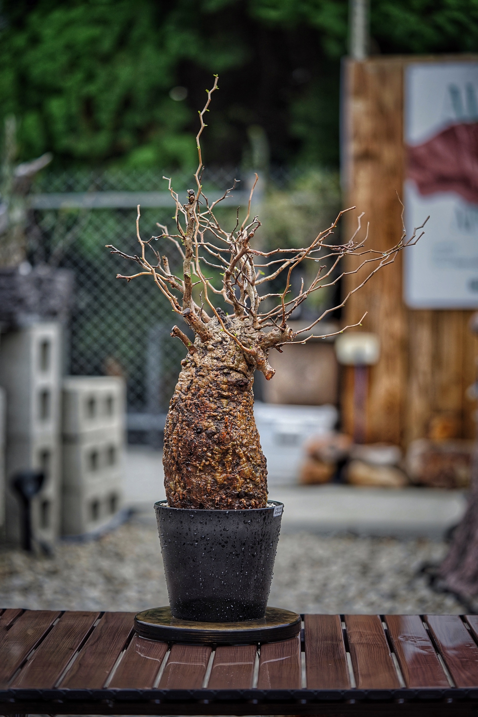 image_EAC1EC8A-B090-4686-A877-00D57A91E1D4_1791095744