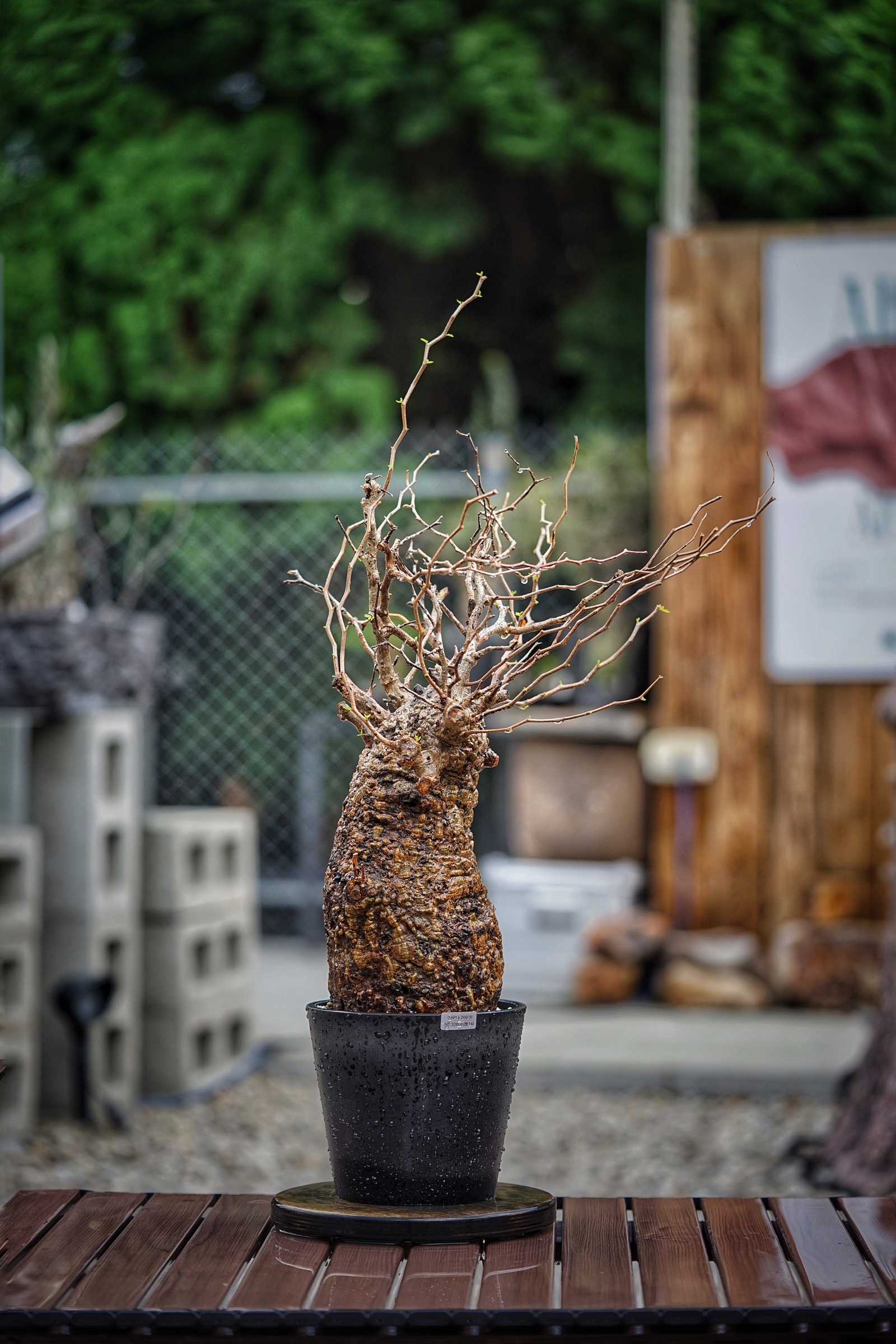 image_117BD795-7C6D-48B2-97D0-AF4515C9E4B9_1791095744