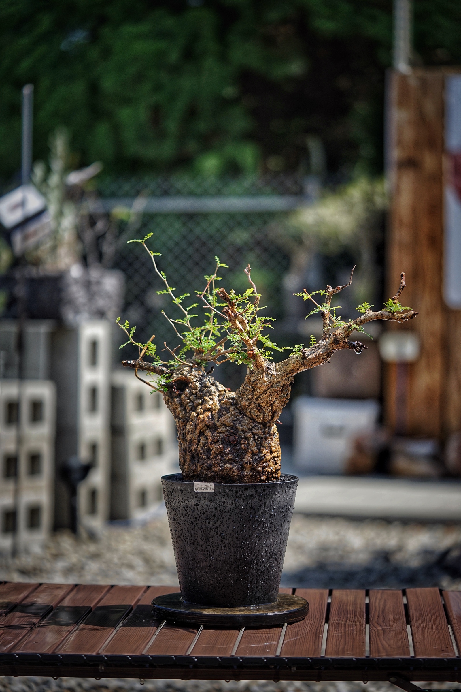 image_6F90DCBF-4220-45A0-B547-65B4C5A2B3C2_1791096759