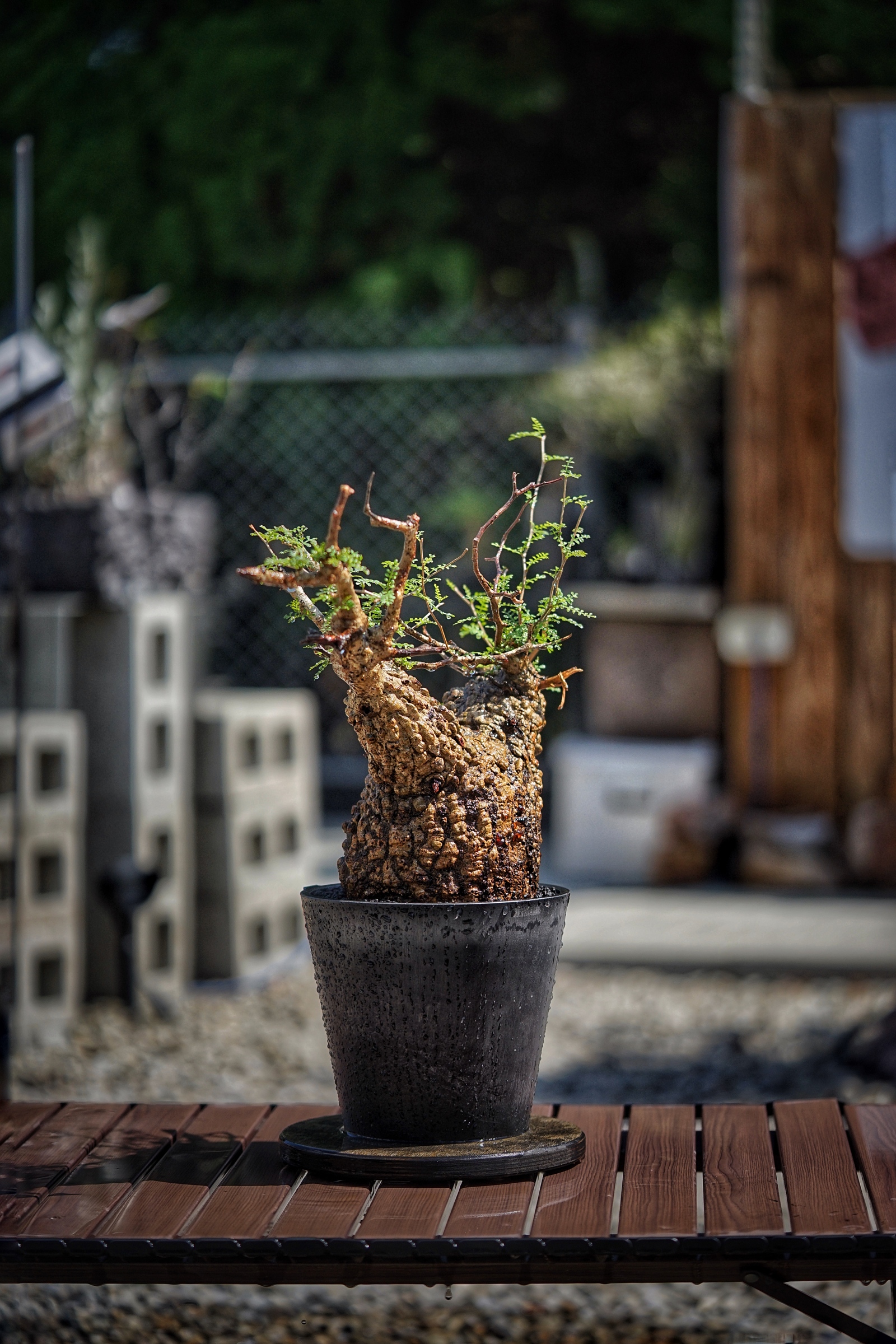 image_FFC8E2D9-B96F-4CAD-9C53-BCD56D8B91D9_1791096759