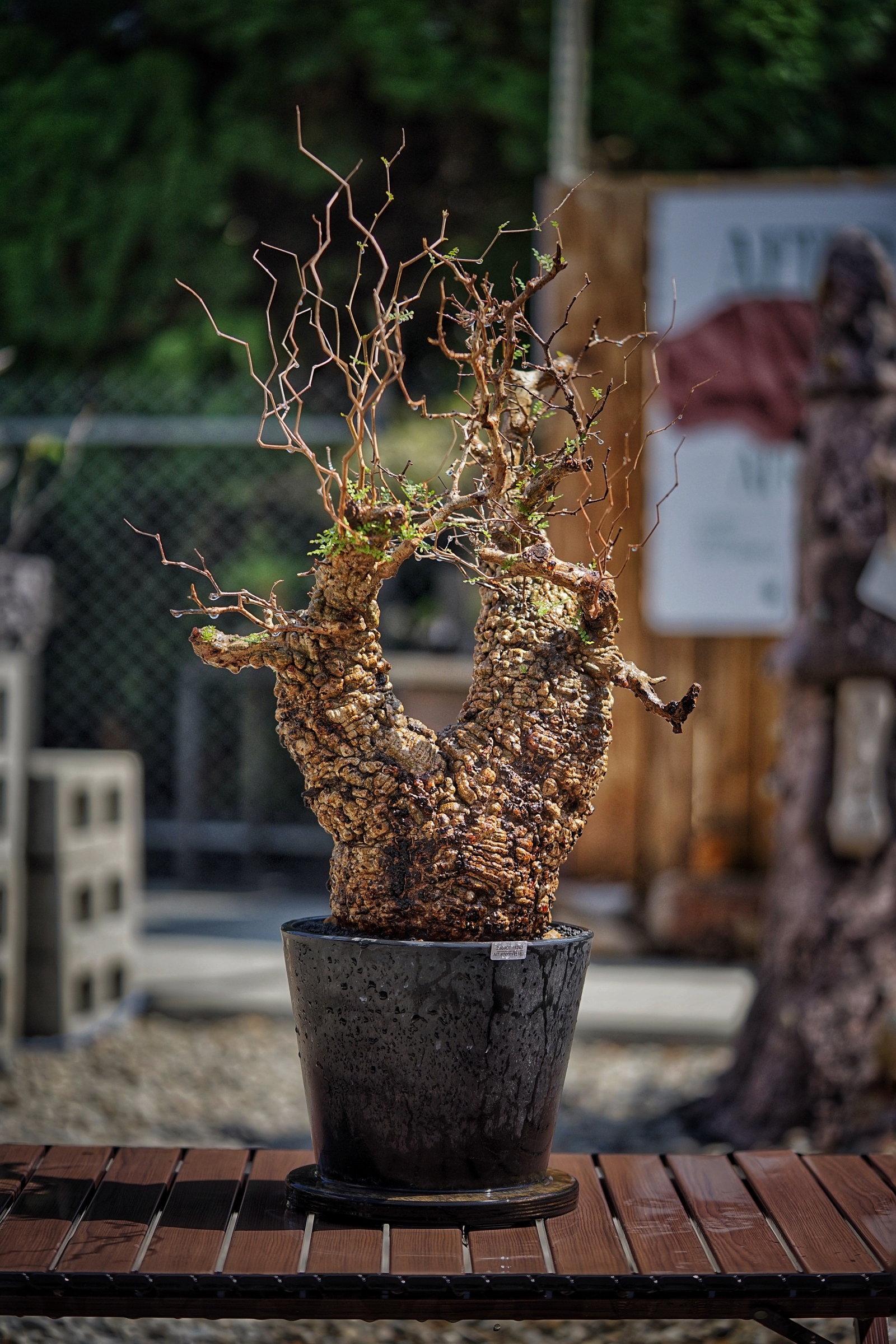 image_D30E8BDD-5C01-49D3-9D2C-A89030AD3B89_1791097269