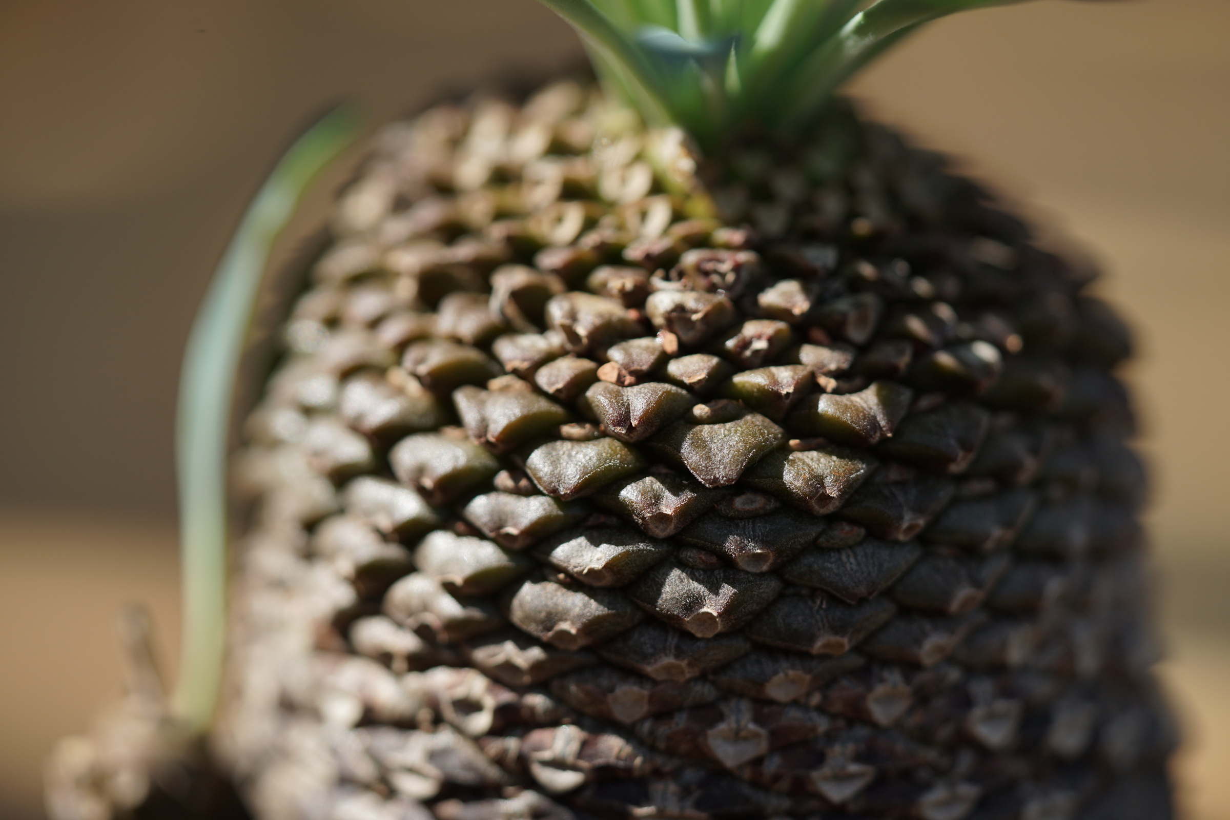 IMG_0806-1727071062195