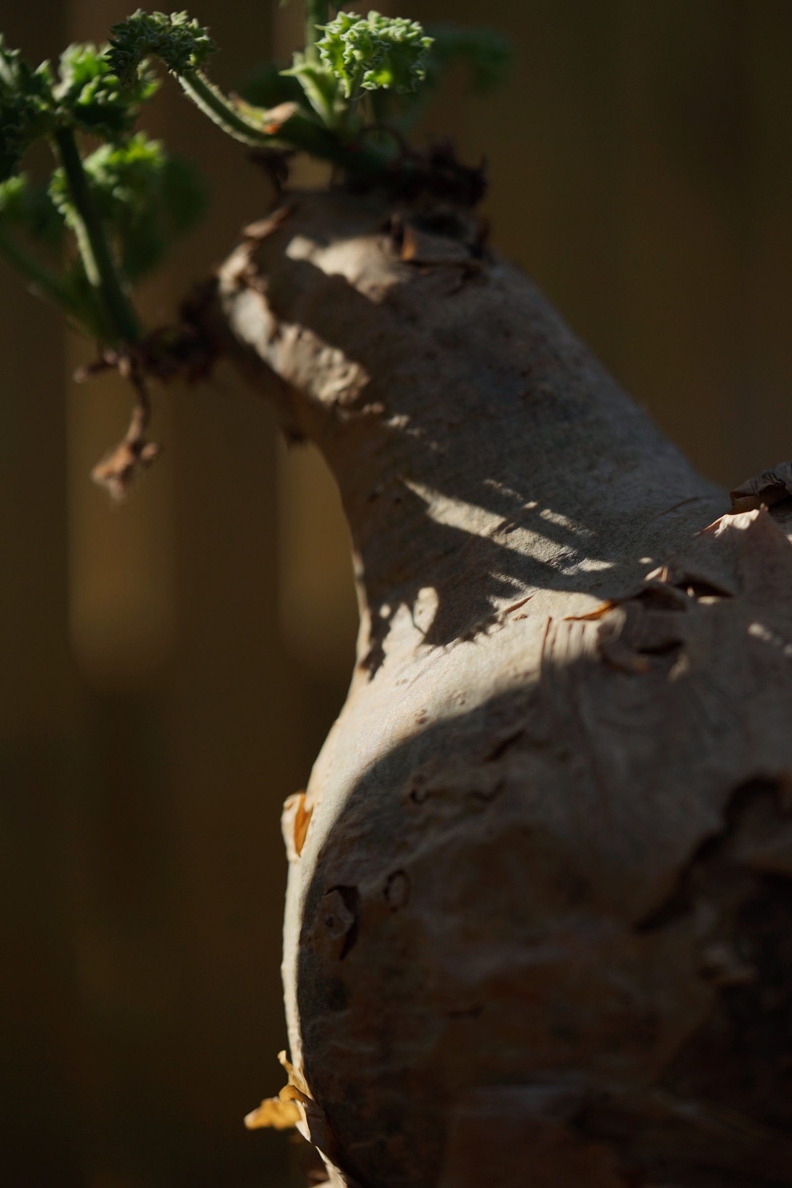 IMG_0865-1727199215338