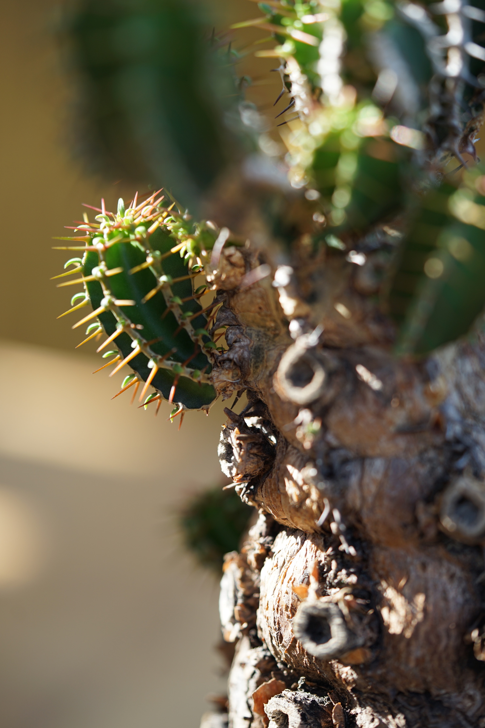 IMG_0900-1727199582224