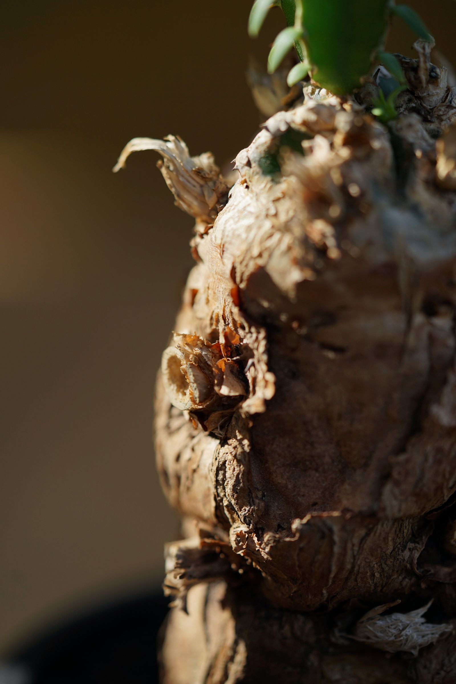 IMG_0894-1727199629763