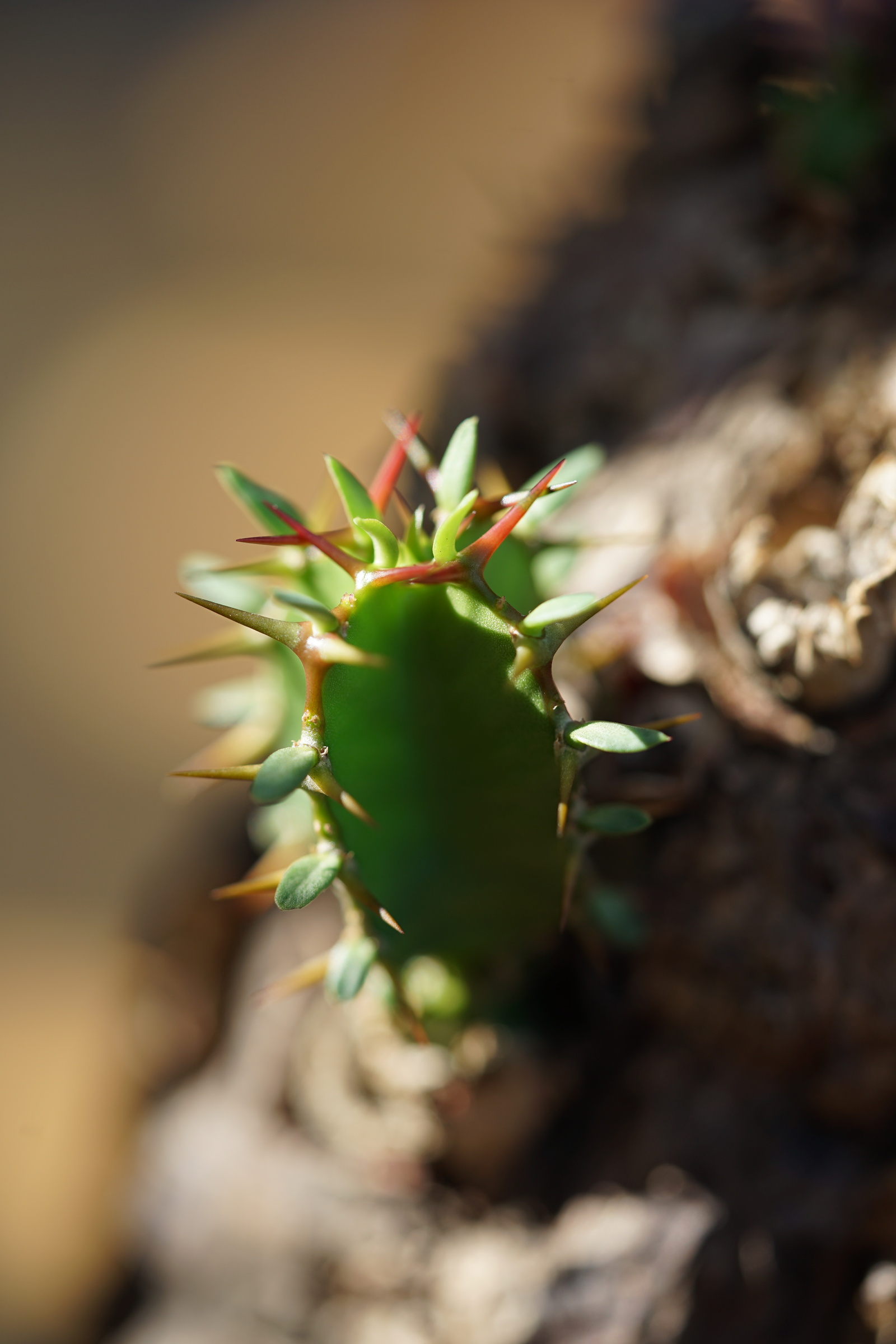 IMG_0903-1727199671752