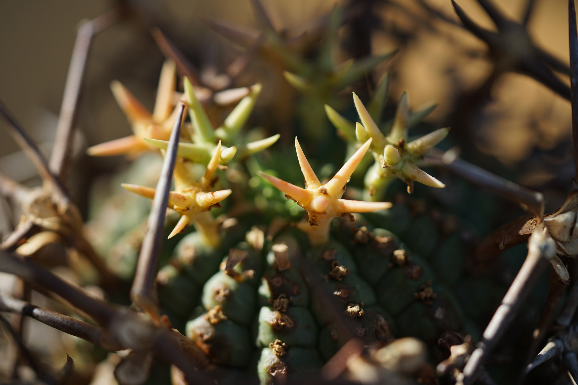 IMG_0897-1727199719016