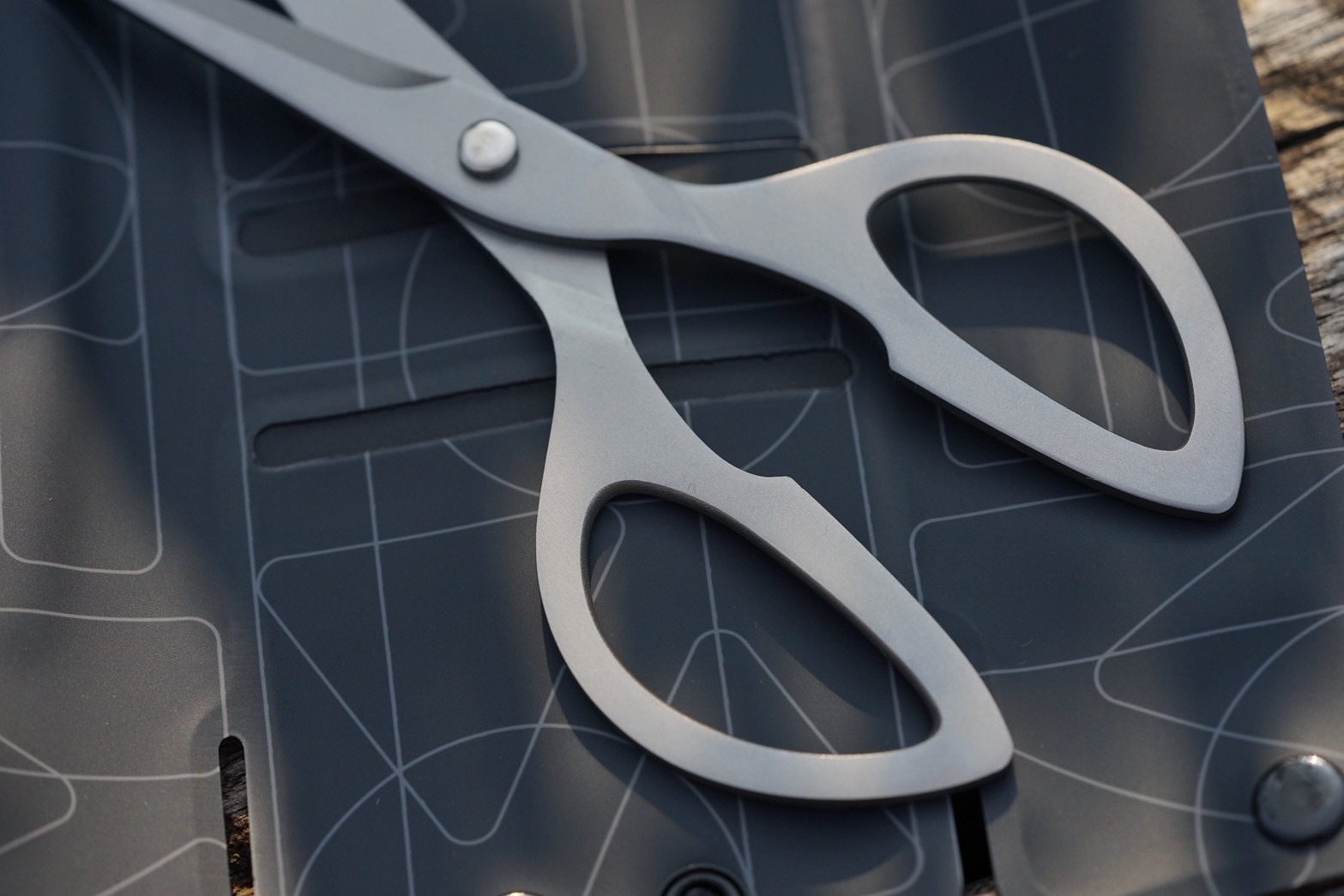 image_5237986F-4ED5-4A2A-B27D-BF0C3711A45A_1765724643