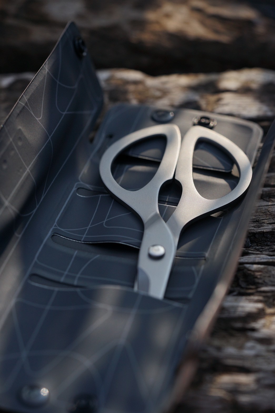 image_D17F4070-45F6-4209-9712-2A71693BF14C_1765724643