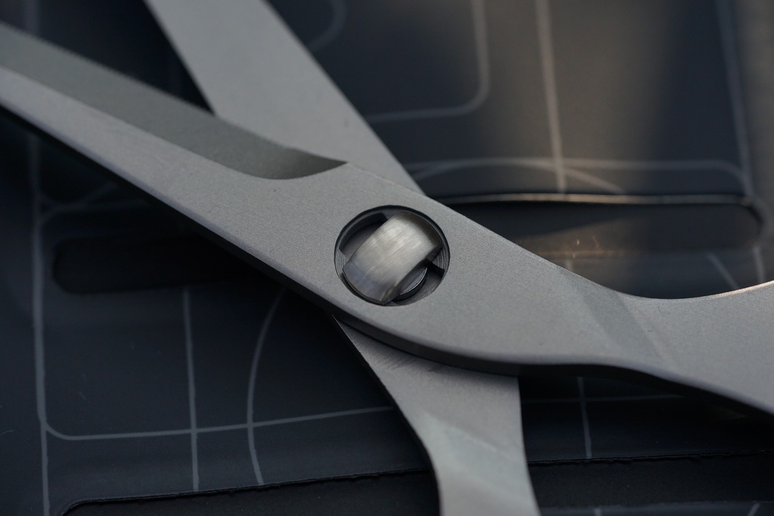 image_E9A2568C-B92D-4BAF-8B41-5EA159F46E40_1765724643