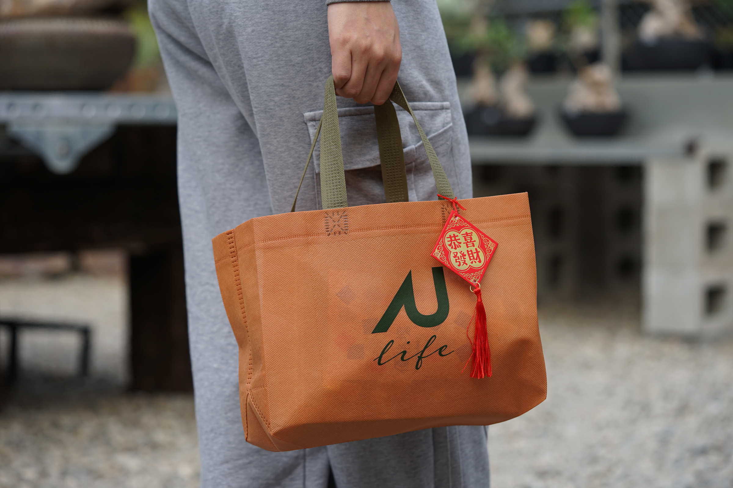 image_03BBBD3C-589E-4CE7-8EA5-750BE08D993C_1769072764