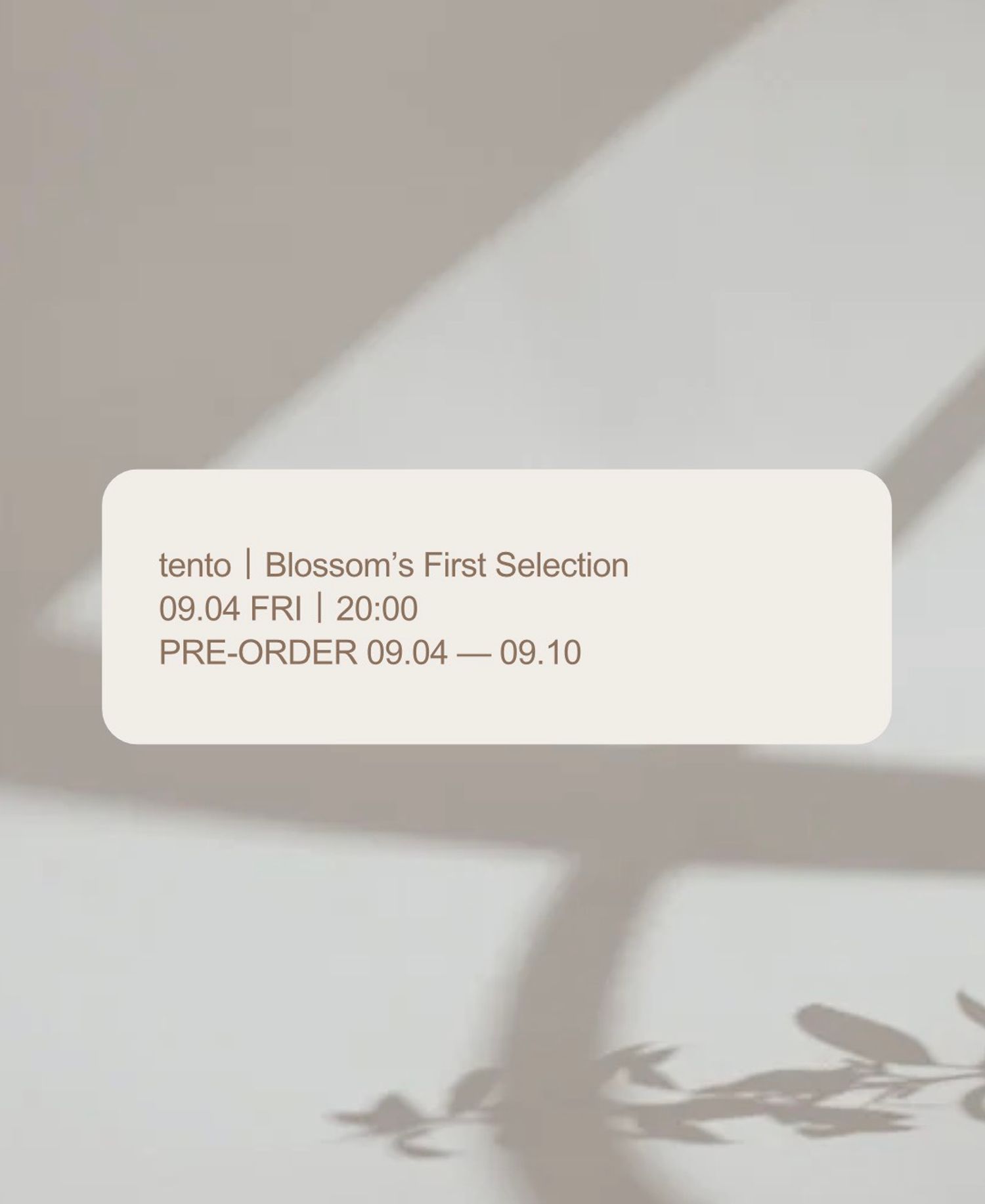 tento Blossom's First Selection 2026