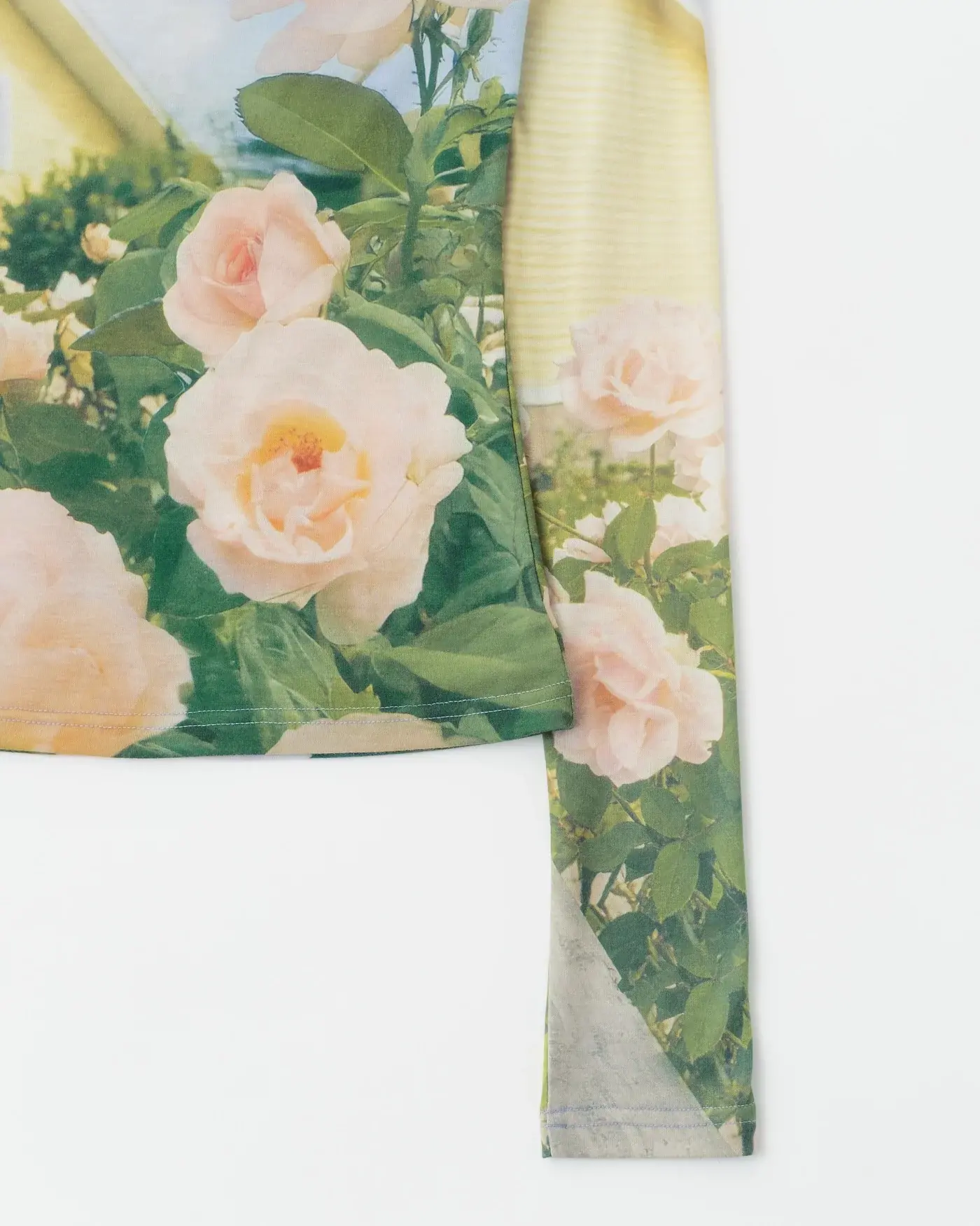 image_5BCB40AA-9B6E-4B00-834F-B23E8A979A64_1775794015